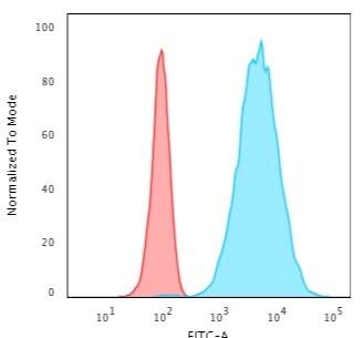 Flow Cytometric Analysis of HeLa cells using Cytokeratin 8 Antibody (TS1) - IHC-Prediluted followed by Goat anti-Mouse IgG-CF488 (Blue); Isotype Control (Red).