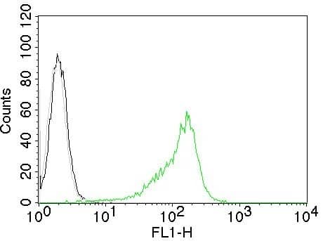 Flow Cytometry of Human Nucleolar Ag on 293T cells. Black: cells alone; Grey: Isotype Control; Green: CF488-labeled human Nucleoli Marker Antibody (NM95) - IHC-Prediluted.