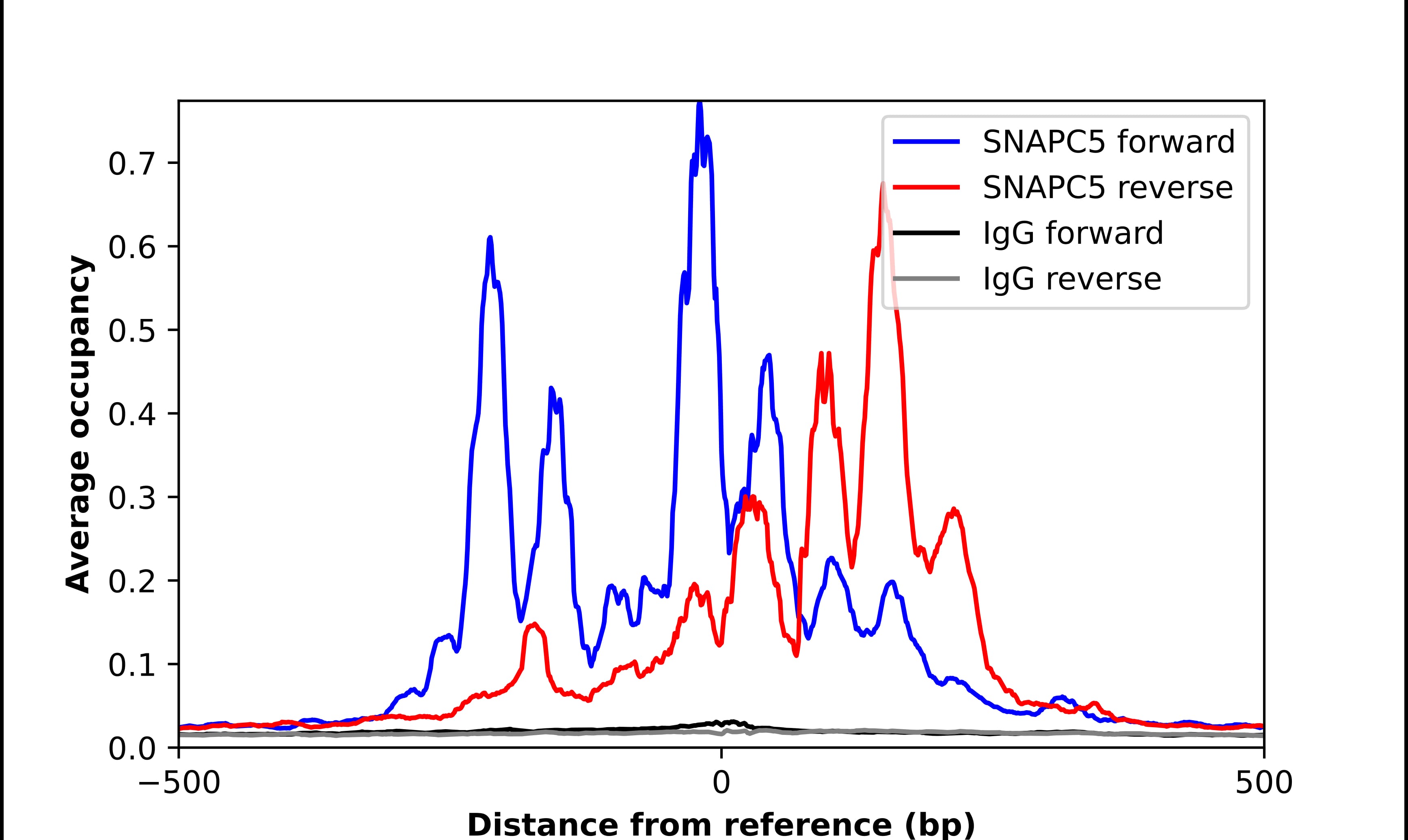 Chromatin Immunoprecipitation SNAPC5 Antibody - BSA Free