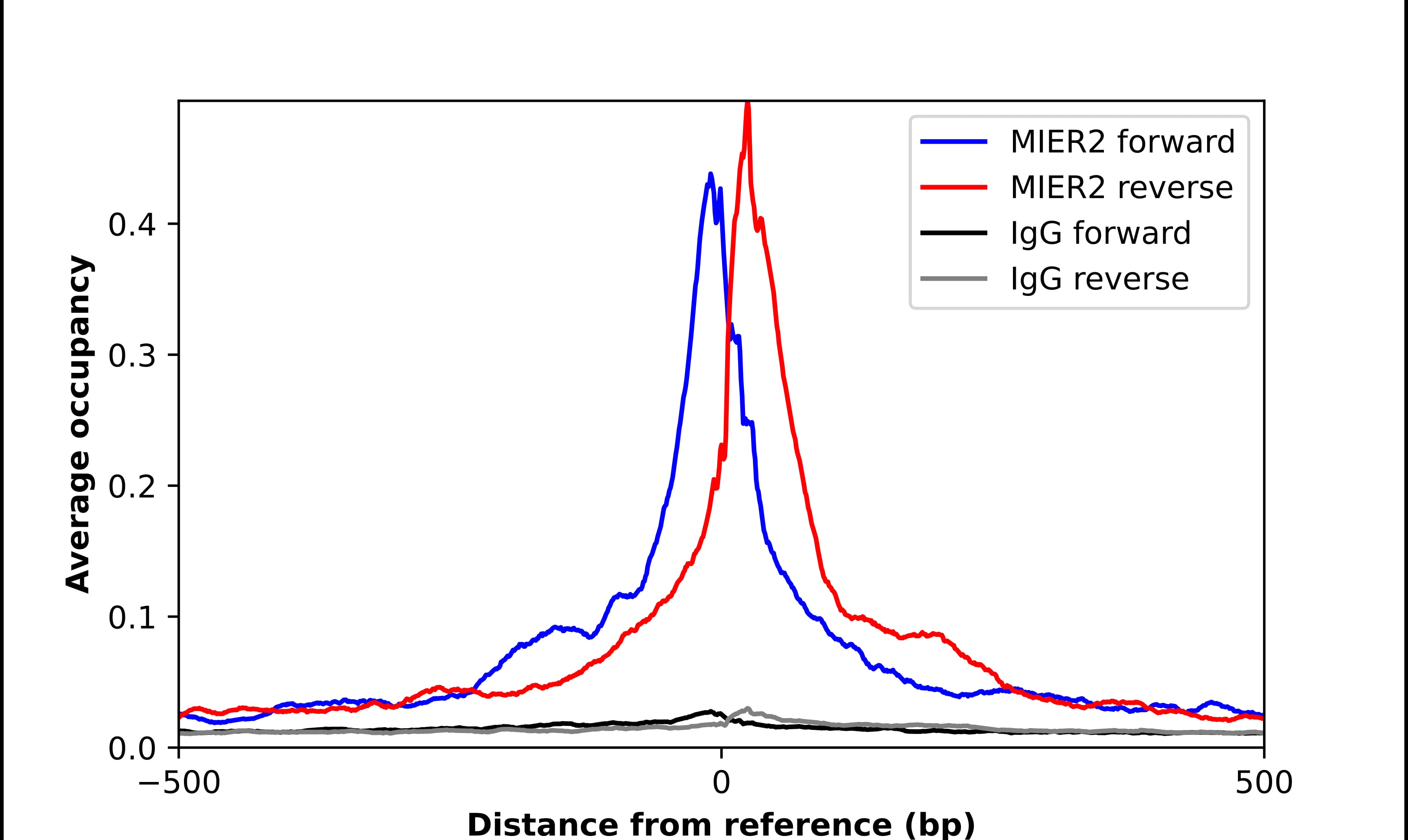 ChIP-Exo-Seq composite graph for Anti-MIER2 tested in K562 cells. Strand-specific reads (blue: forward, red: reverse) and IgG controls (black: forward, grey: reverse) are plotted against the distance from a composite set of reference binding sites. The antibody exhibits robust target enrichment compared to a non-specific IgG control and precisely reveals its structural organization around the binding site. Data generated by Prof. B. F. Pugh's Lab at Cornell University.