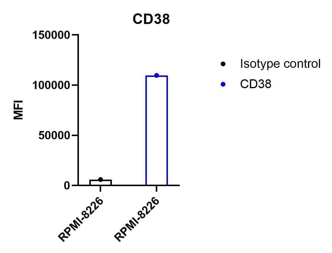 Flow Cytometry: Mouse Monoclonal CD38 Antibody (AT1) [Biotin] [NBP2-47908B] - Detection of human CD38 on RPMI-8226 B-lymphocyte cell line. The cells were treated with the CD38 antibody or isotype control followed by treatment with a streptavidin AF647. Biotin conjugated version of CD38 antibody was used (NBP2-47908B). Image from a verified customer review.