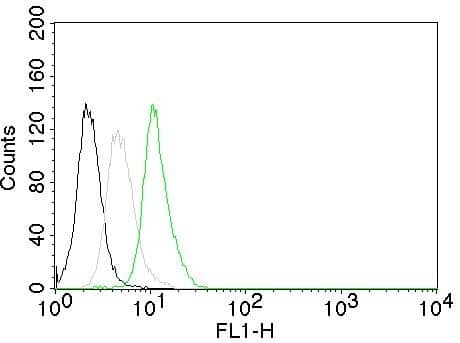 Flow cytometry of human Cyclin D1 on Jurkat cells. Black: cells alone; Grey: Isotype Control; Green: CF488-labeled Cyclin D1 Antibody (CCND1/809) - IHC-Prediluted.