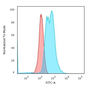 Flow Cytometric Analysis of PFA-fixed K562 cells using Calponin 1 Antibody (CNN1/832 + CALP) - IHC-Prediluted followed by Goat anti-Mouse IgG-CF488 (Blue); Isotype Control (Red).