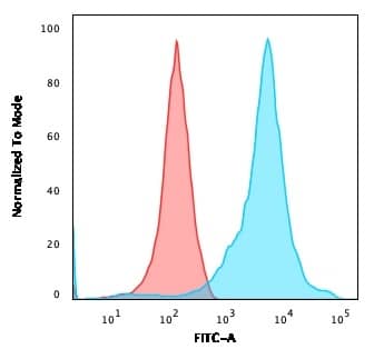 Flow Cytometric Analysis of HEK293 cells using NF-H Antibody (RT-97 + NR-4) - IHC-Prediluted followed by goat anti-Mouse IgG-CF488 (Blue); Isotype control (Red).