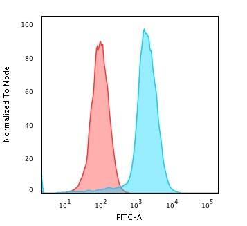 Flow Cytometric Analysis of PFA-fixed K562 cells using Fascin Antibody (SPM133) - IHC-Prediluted followed by Goat anti-Mouse IgG-CF488 (Blue); Isotype Control (Red)