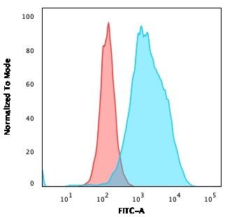 Flow Cytometric Analysis of Raji cells using CD20 Antibody (SPM618) - IHC-Prediluted followed by Goat anti-Mouse IgG-CF488 (Blue); Isotype Control (Red).