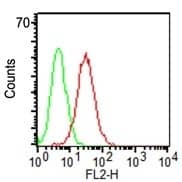 Flow Cytometry of KG-1 cells using CD34 Antibody (HPCA1/1171) - IHC-Prediluted (red) & isotype control (green).