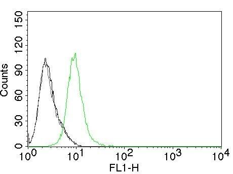 Flow Cytometry of human p27 on Jurkat cells. Black: cells alone; Grey: Isotype Control; Green: AF488-labeled p27/Kip1 Antibody (KIP1/769) - IHC-Prediluted.