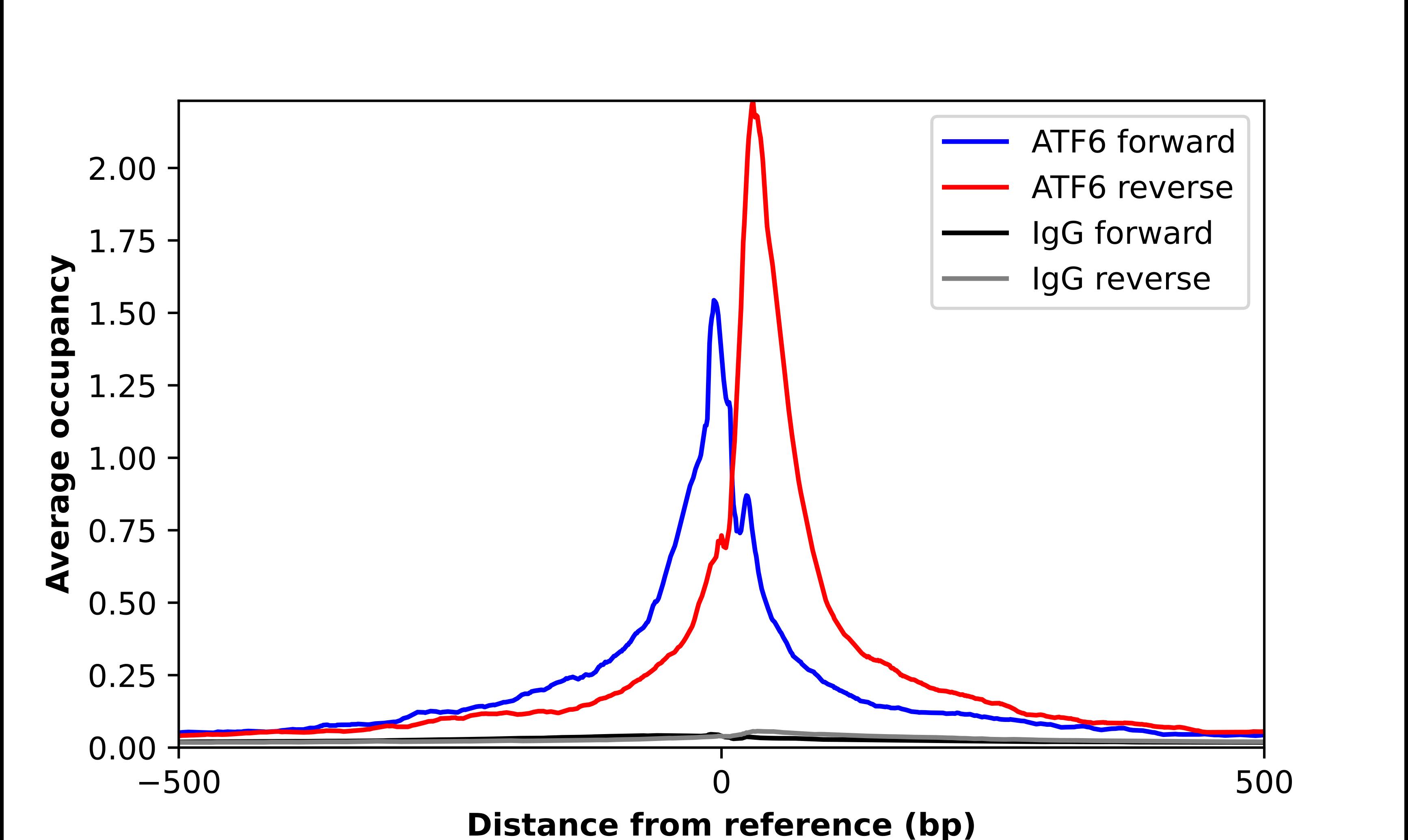 ChIP-Exo-Seq composite graph for Anti-ATF6 tested in K562 cells. Strand-specific reads (blue: forward, red: reverse) and IgG controls (black: forward, grey: reverse) are plotted against the distance from a composite set of reference binding sites. The antibody exhibits robust target enrichment compared to a non-specific IgG control and precisely reveals its structural organization around the binding site. Data generated by Prof. B. F. Pugh's Lab at Cornell University.