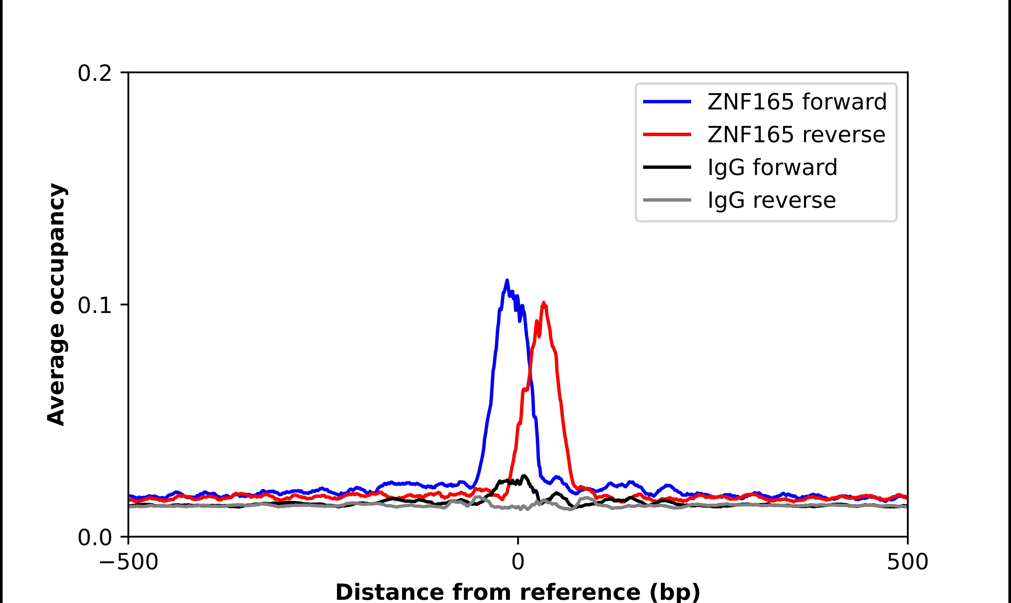 Chromatin Immunoprecipitation ZNF165 Antibody - BSA Free