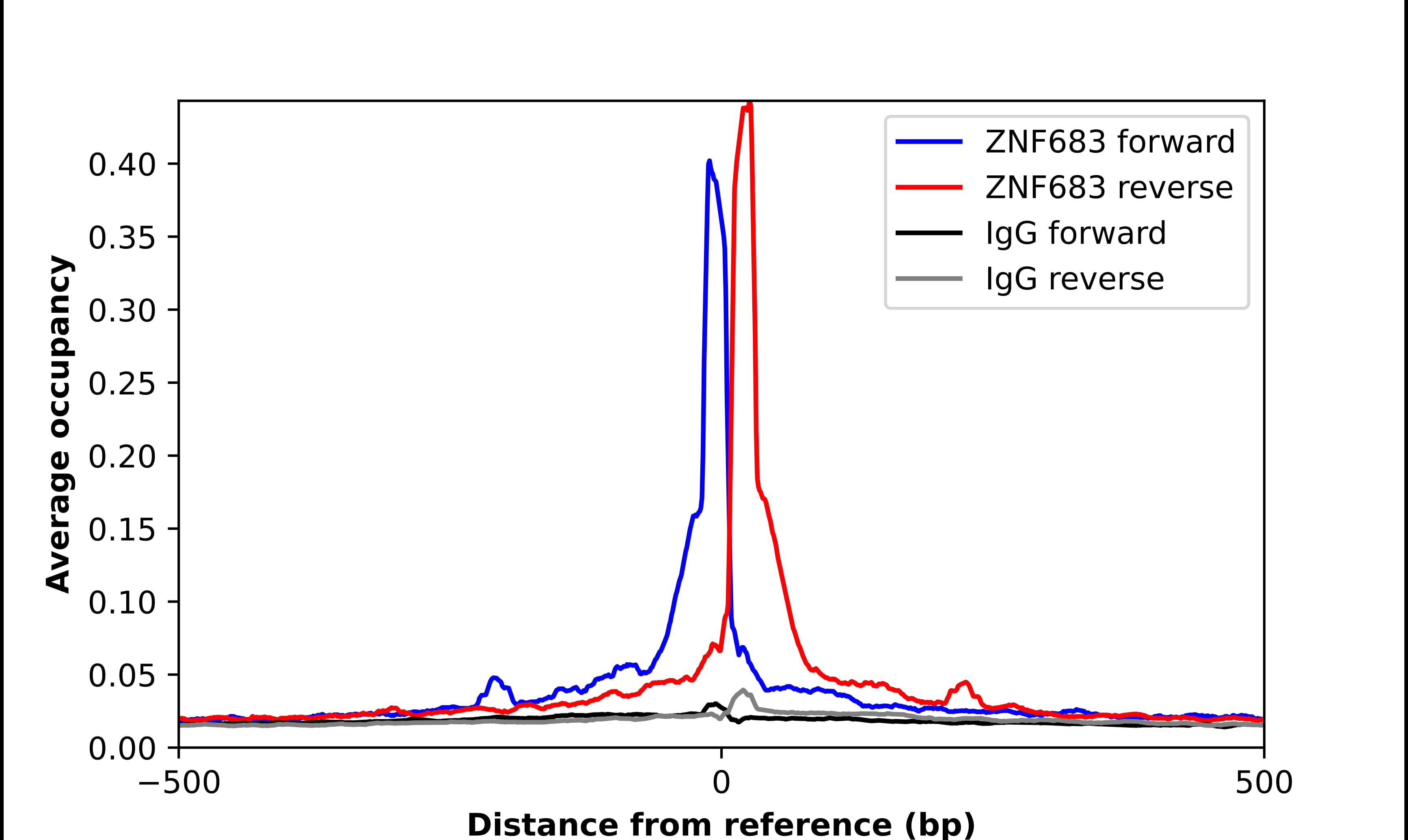 Chromatin Immunoprecipitation ZNF683 Antibody - BSA Free