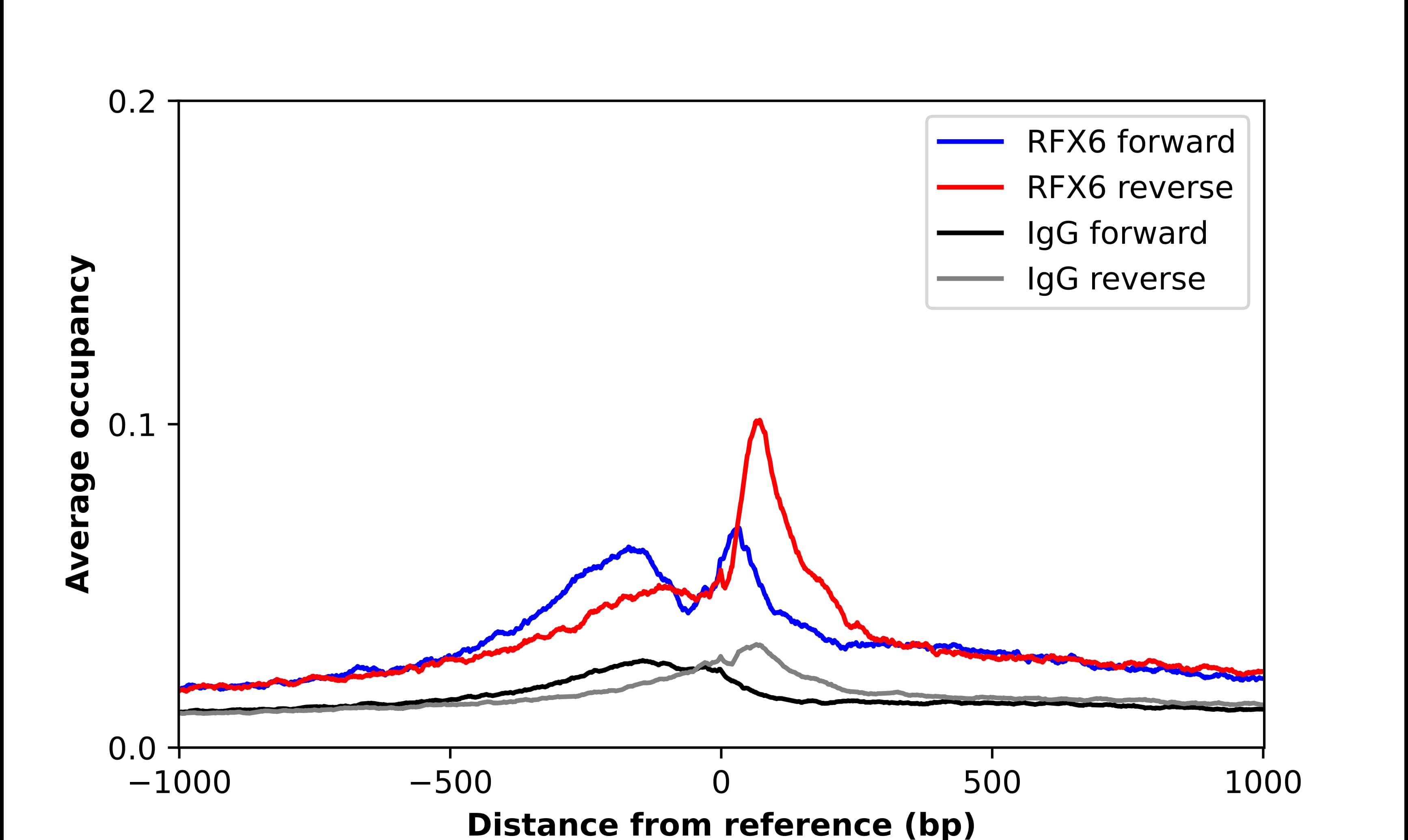 Chromatin Immunoprecipitation RFX6 Antibody - BSA Free