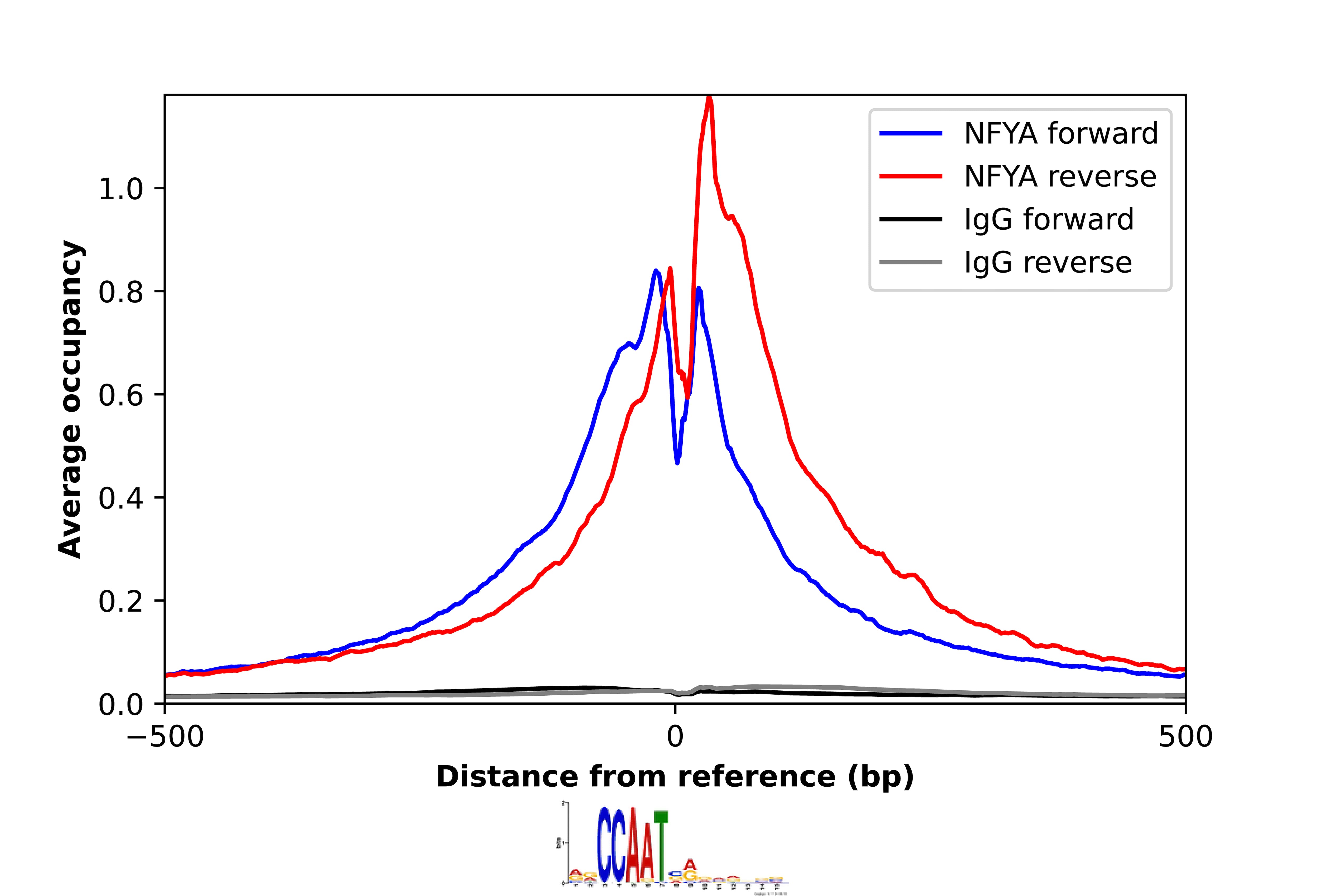 ChIP-Exo-Seq composite graph for Anti-NFYA (NBP2-48977) tested in K562 cells. Strand-specific reads (blue: forward, red: reverse) and IgG controls (black: forward, grey: reverse) are plotted against the distance from a composite set of reference binding sites. The antibody exhibits robust target enrichment compared to a non-specific IgG control and precisely reveals its structural organization around the binding site. Data generated by Prof. B. F. Pugh´s Lab at Cornell University.