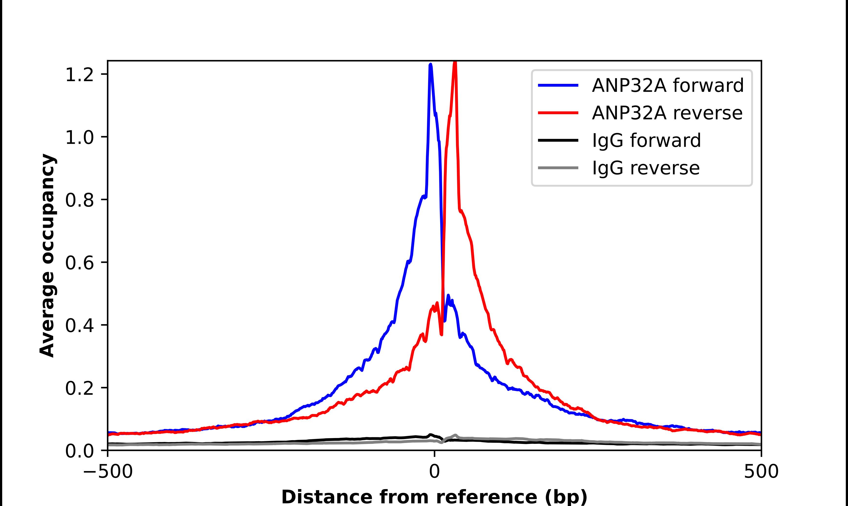 ChIP-Exo-Seq composite graph for Anti-ANP32A (NBP2-49519) tested in K562 cells. Strand-specific reads (blue: forward, red: reverse) and IgG controls (black: forward, grey: reverse) are plotted against the distance from a composite set of reference binding sites. The antibody exhibits robust target enrichment compared to a non-specific IgG control and precisely reveals its structural organization around the binding site. Data generated by Prof. B. F. Pugh´s Lab at Cornell University.