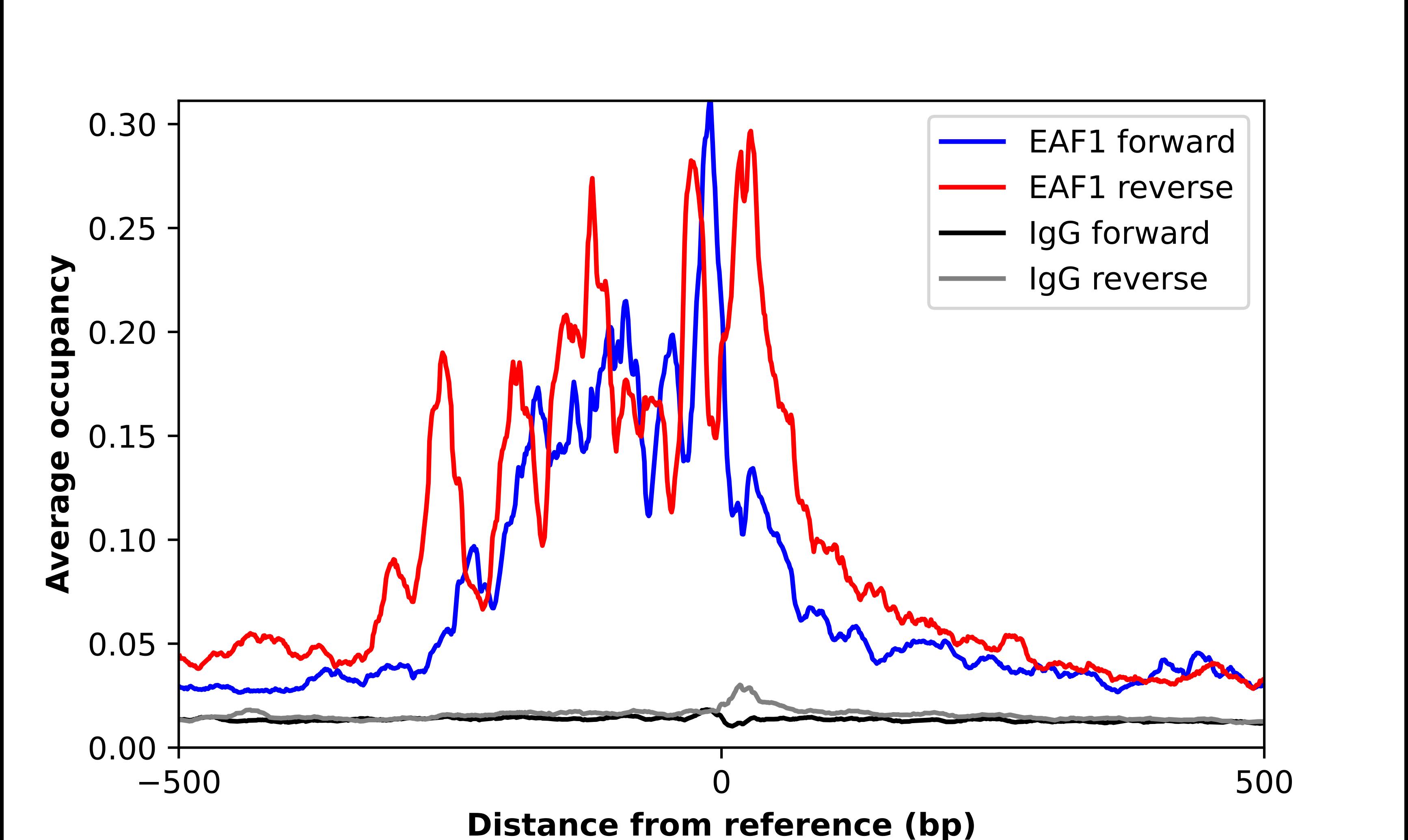 ChIP-Exo-Seq composite graph for Anti-EAF1 tested in K562 cells. Strand-specific reads (blue: forward, red: reverse) and IgG controls (black: forward, grey: reverse) are plotted against the distance from a composite set of reference binding sites. The antibody exhibits robust target enrichment compared to a non-specific IgG control and precisely reveals its structural organization around the binding site. Data generated by Prof. B. F. Pugh's Lab at Cornell University.