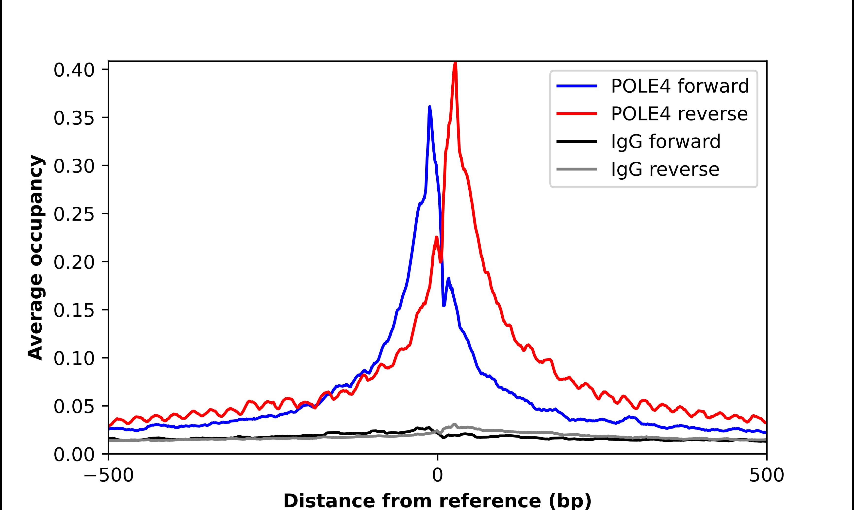 Chromatin Immunoprecipitation POLE4 Antibody - BSA Free