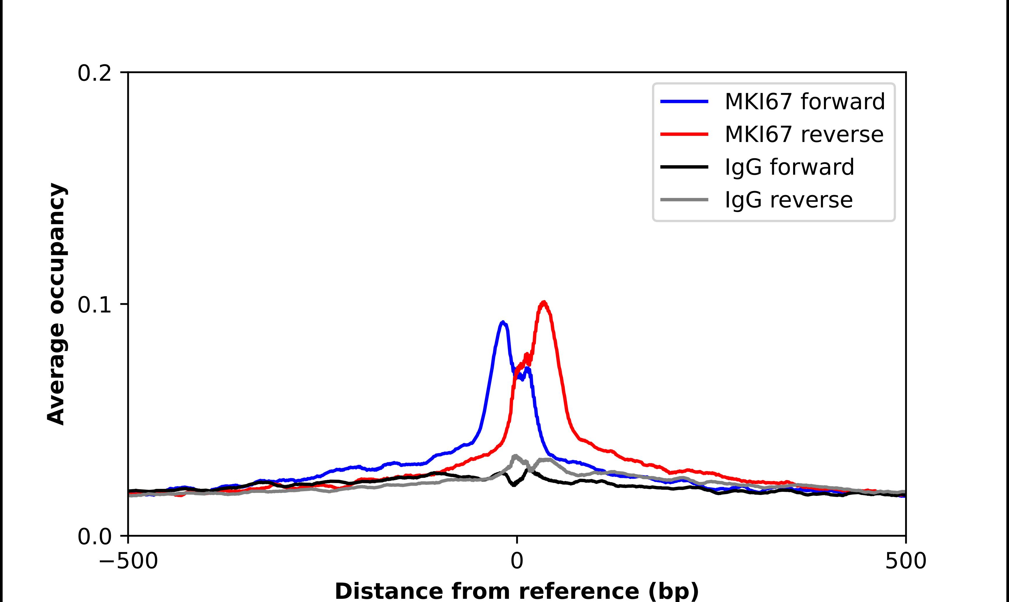 ChIP-Exo-Seq composite graph for Anti-Ki67/MKI67 tested in K562 cells. Strand-specific reads (blue: forward, red: reverse) and IgG controls (black: forward, grey: reverse) are plotted against the distance from a composite set of reference binding sites. The antibody exhibits robust target enrichment compared to a non-specific IgG control and precisely reveals its structural organization around the binding site. Data generated by Prof. B. F. Pugh's Lab at Cornell University.