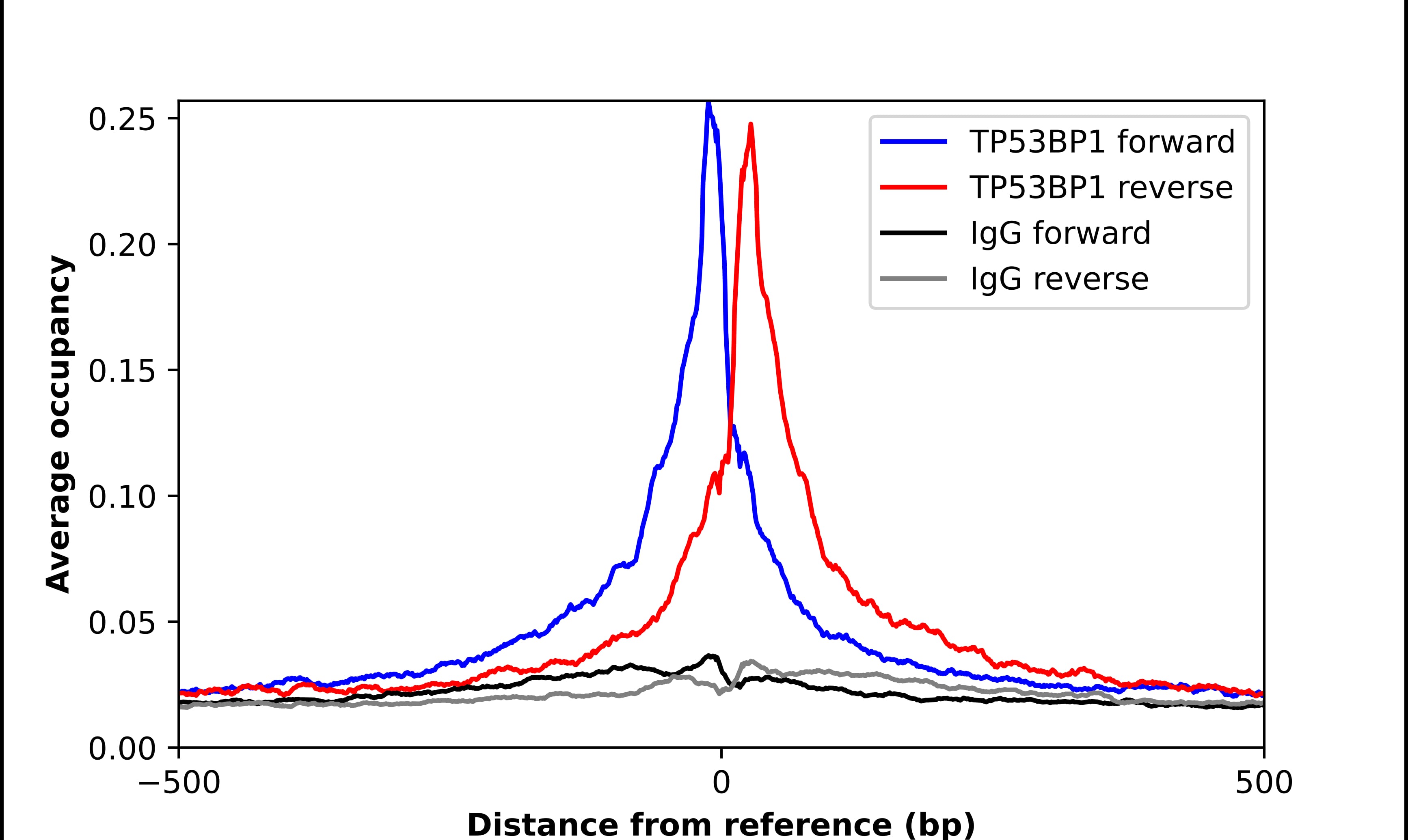 ChIP-Exo-Seq composite graph for Anti-53BP1 tested in K562 cells. Strand-specific reads (blue: forward, red: reverse) and IgG controls (black: forward, grey: reverse) are plotted against the distance from a composite set of reference binding sites. The antibody exhibits robust target enrichment compared to a non-specific IgG control and precisely reveals its structural organization around the binding site. Data generated by Prof. B. F. Pugh's Lab at Cornell University.