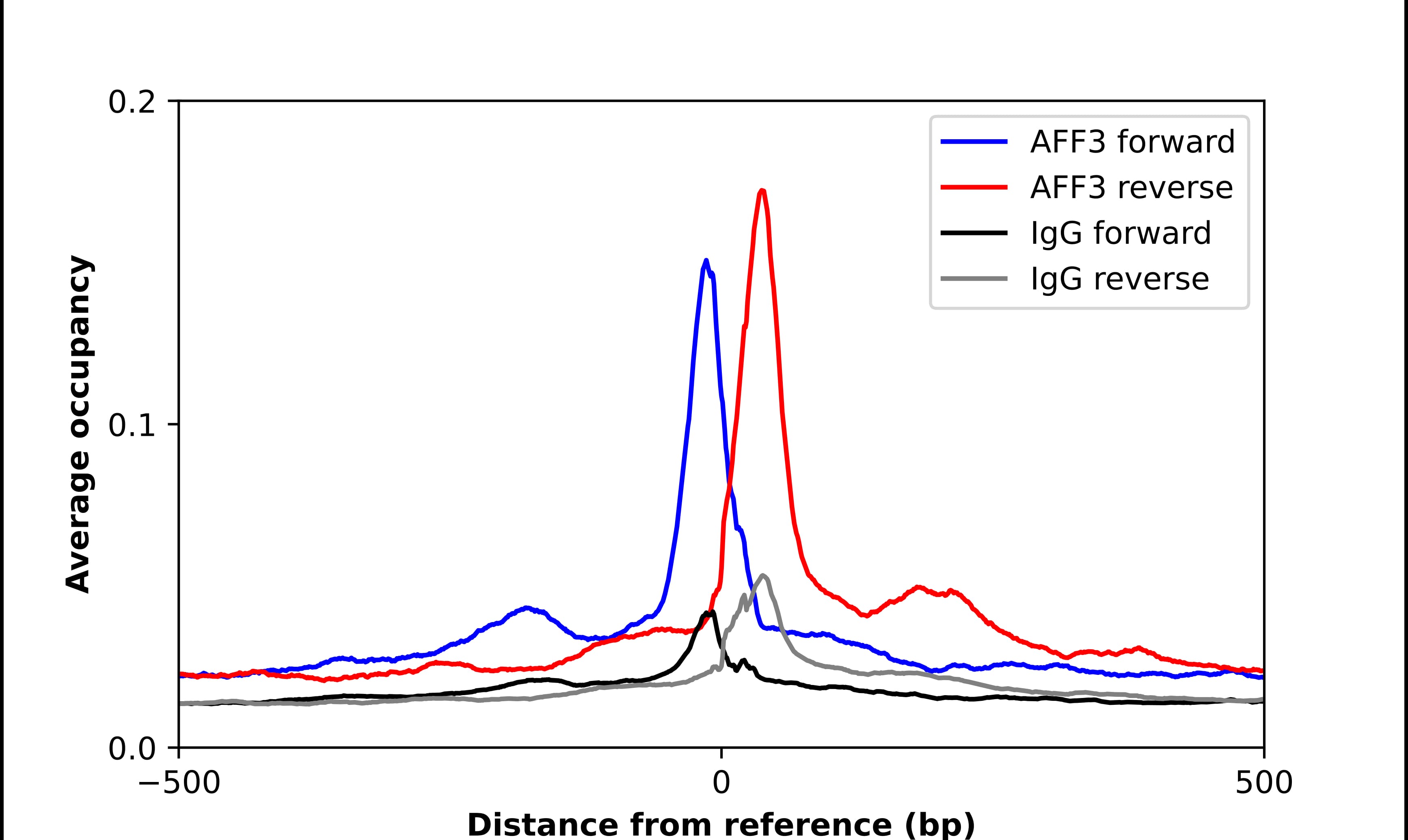 Chromatin Immunoprecipitation LAF4 Antibody - BSA Free