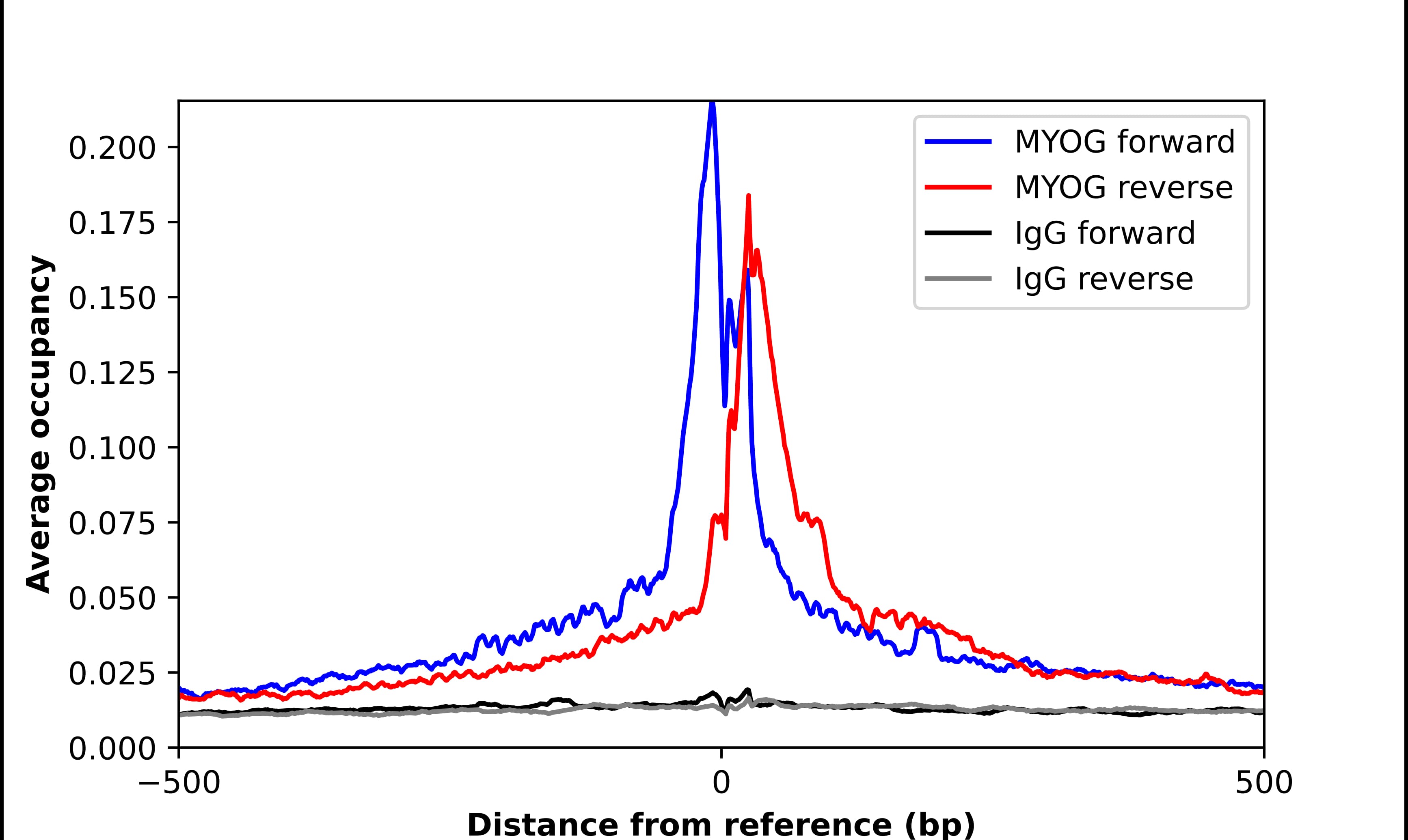 ChIP-Exo-Seq composite graph for Anti-MYOG (NBP2-54972) tested in K562 cells. Strand-specific reads (blue: forward, red: reverse) and IgG controls (black: forward, grey: reverse) are plotted against the distance from a composite set of reference binding sites. The antibody exhibits robust target enrichment compared to a non-specific IgG control and precisely reveals its structural organization around the binding site. Data generated by Prof. B. F. Pugh´s Lab at Cornell University.