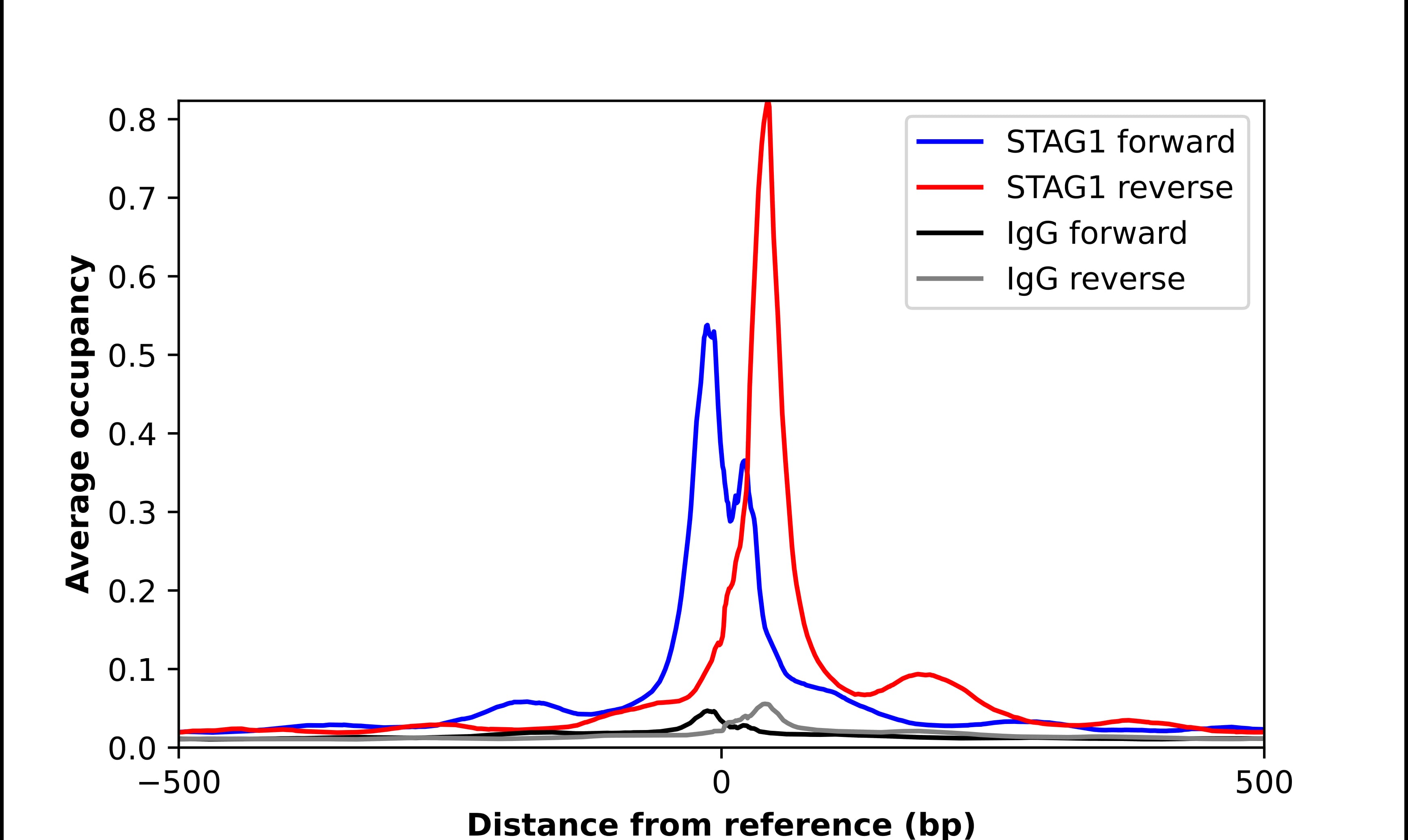 ChIP-Exo-Seq composite graph for Anti-SA1 tested in K562 cells. Strand-specific reads (blue: forward, red: reverse) and IgG controls (black: forward, grey: reverse) are plotted against the distance from a composite set of reference binding sites. The antibody exhibits robust target enrichment compared to a non-specific IgG control and precisely reveals its structural organization around the binding site. Data generated by Prof. B. F. Pugh's Lab at Cornell University.