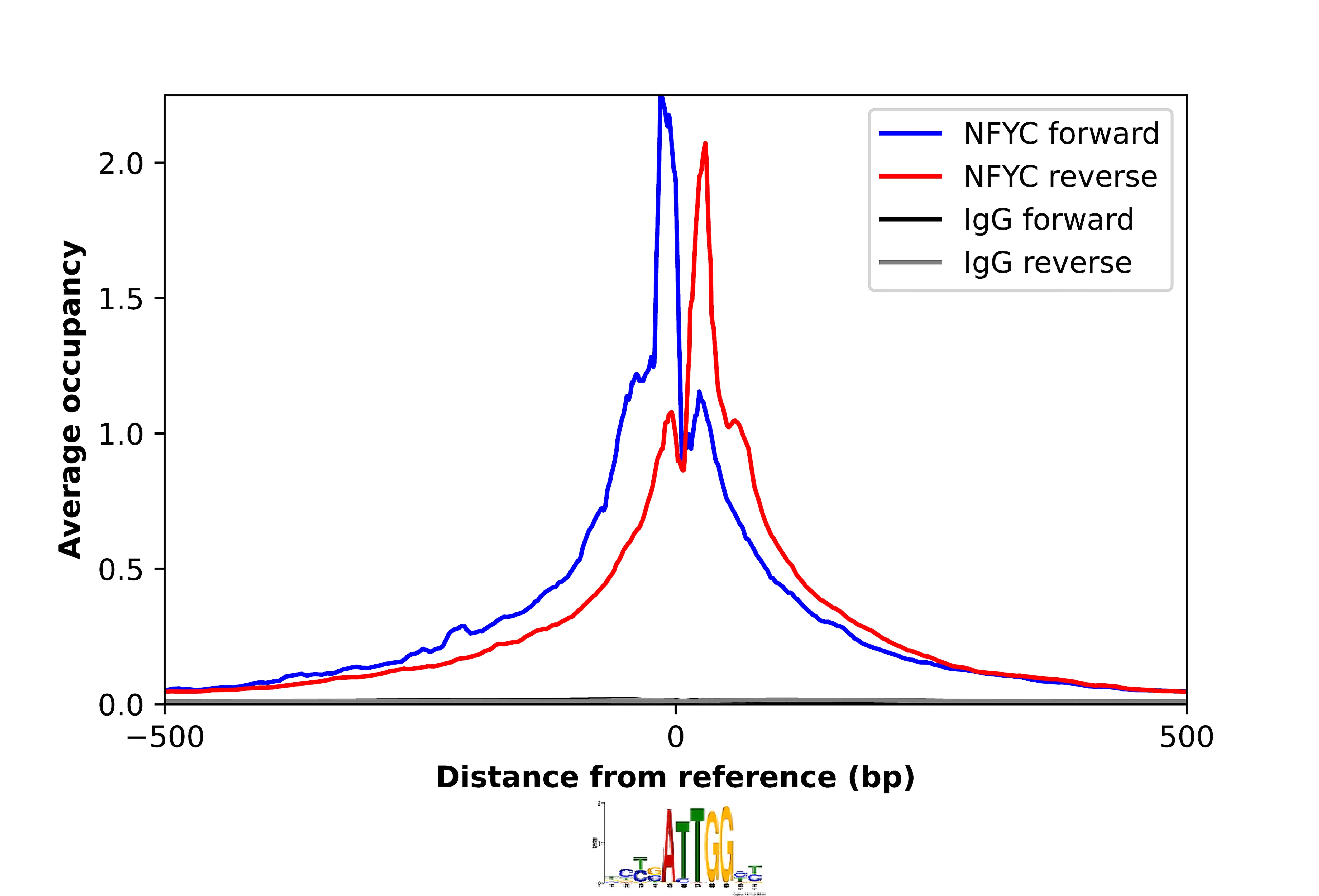 ChIP-Exo-Seq composite graph for Anti-NFYC (NBP2-55002) tested in K562 cells. Strand-specific reads (blue: forward, red: reverse) and IgG controls (black: forward, grey: reverse) are plotted against the distance from a composite set of reference binding sites. The antibody exhibits robust target enrichment compared to a non-specific IgG control and precisely reveals its structural organization around the binding site. Data generated by Prof. B. F. Pugh´s Lab at Cornell University.