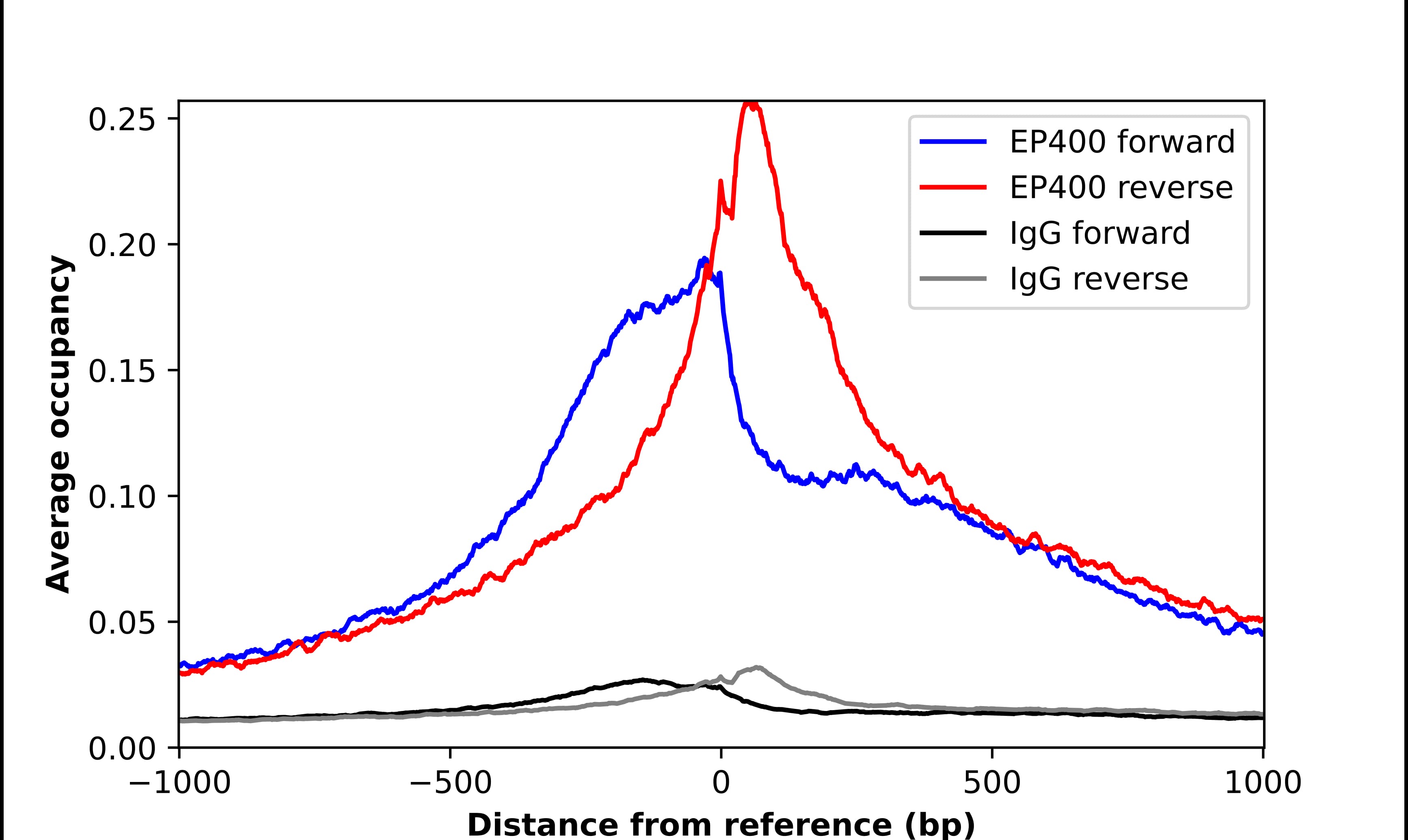 ChIP-Exo-Seq composite graph for Anti-EP400 (NBP2-55019) tested in K562 cells. Strand-specific reads (blue: forward, red: reverse) and IgG controls (black: forward, grey: reverse) are plotted against the distance from a composite set of reference binding sites. The antibody exhibits robust target enrichment compared to a non-specific IgG control and precisely reveals its structural organization around the binding site. Data generated by Prof. B. F. Pugh´s Lab at Cornell University.