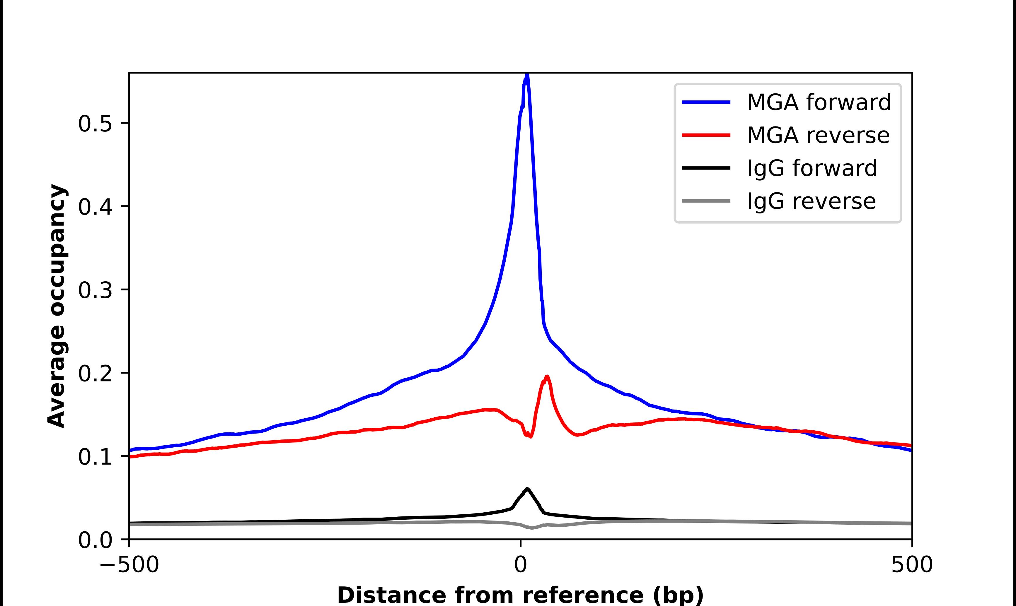 ChIP-Exo-Seq composite graph for Anti-MGA tested in K562 cells. Strand-specific reads (blue: forward, red: reverse) and IgG controls (black: forward, grey: reverse) are plotted against the distance from a composite set of reference binding sites. The antibody exhibits robust target enrichment compared to a non-specific IgG control and precisely reveals its structural organization around the binding site. Data generated by Prof. B. F. Pugh's Lab at Cornell University.
