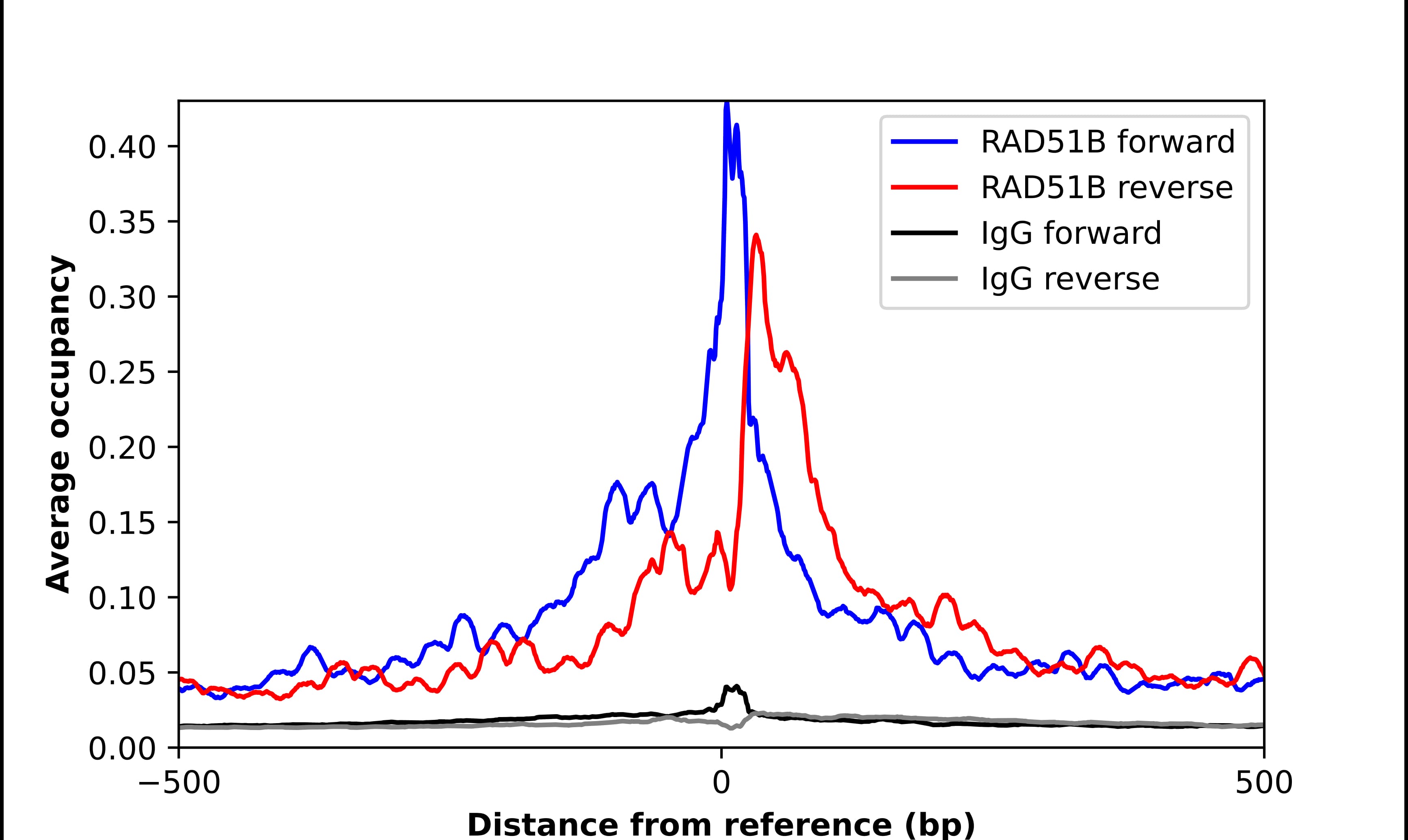 ChIP-Exo-Seq composite graph for Anti-Rad51L1 tested in K562 cells. Strand-specific reads (blue: forward, red: reverse) and IgG controls (black: forward, grey: reverse) are plotted against the distance from a composite set of reference binding sites. The antibody exhibits robust target enrichment compared to a non-specific IgG control and precisely reveals its structural organization around the binding site. Data generated by Prof. B. F. Pugh's Lab at Cornell University.