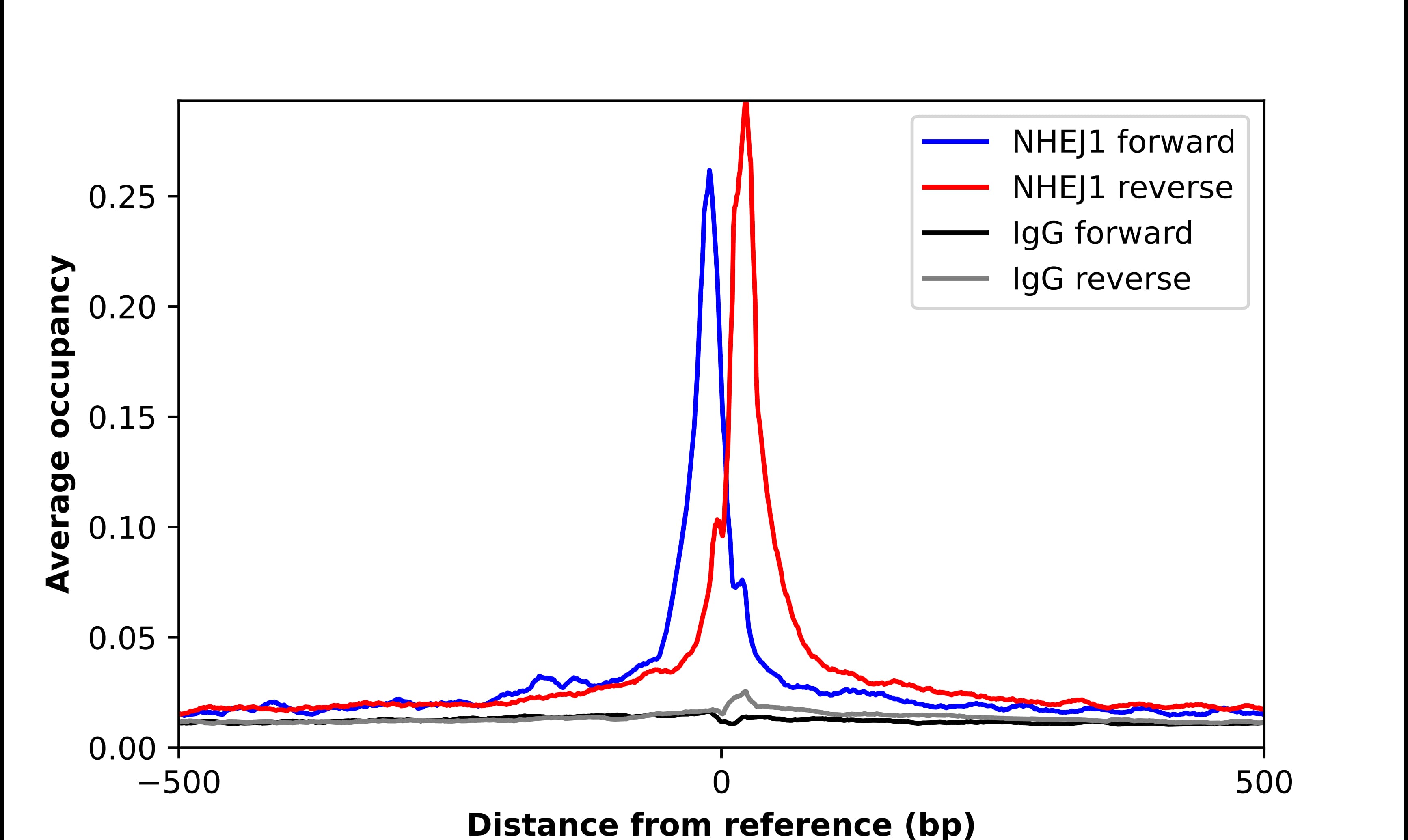 ChIP-Exo-Seq composite graph for Anti-XLF tested in K562 cells. Strand-specific reads (blue: forward, red: reverse) and IgG controls (black: forward, grey: reverse) are plotted against the distance from a composite set of reference binding sites. The antibody exhibits robust target enrichment compared to a non-specific IgG control and precisely reveals its structural organization around the binding site. Data generated by Prof. B. F. Pugh's Lab at Cornell University.