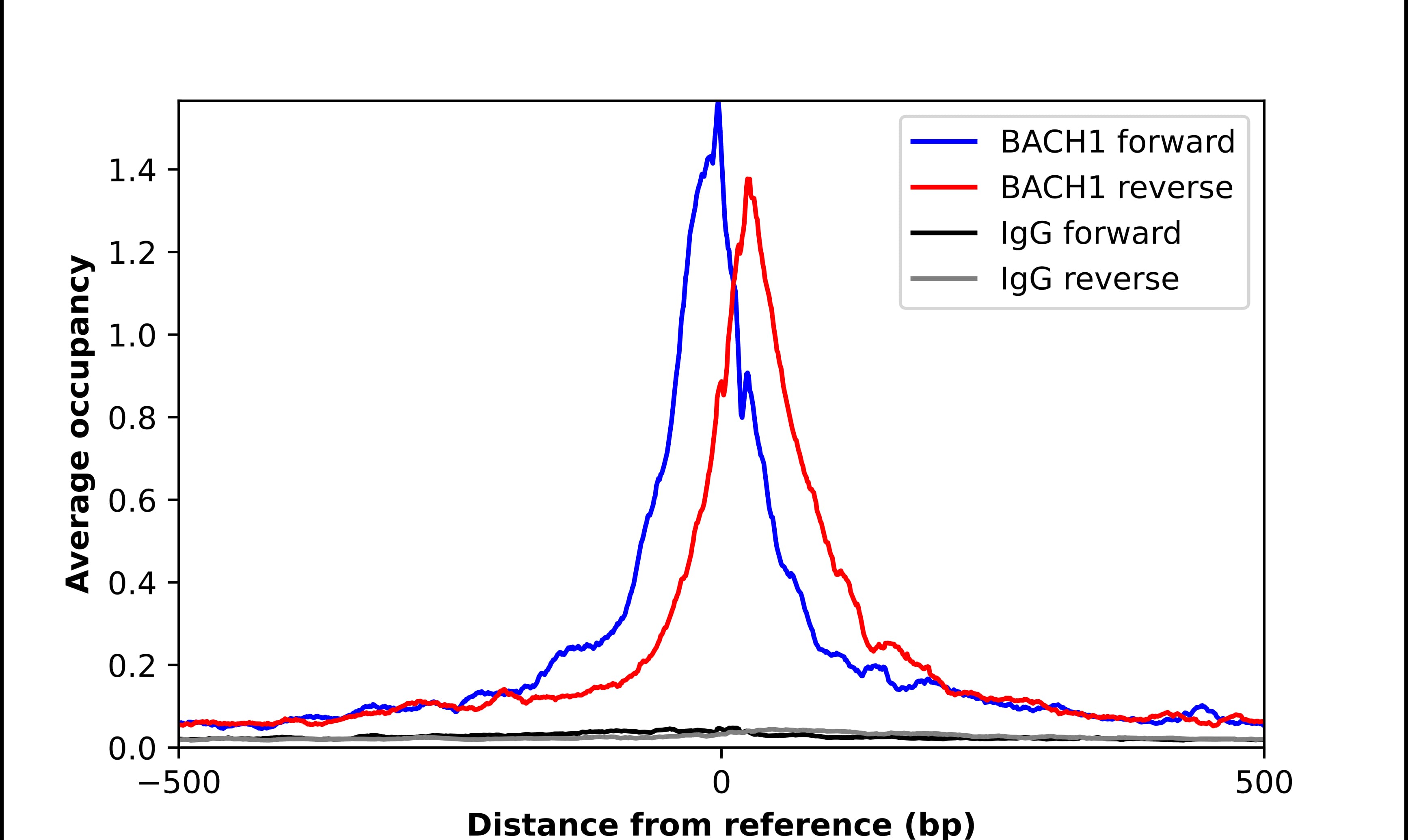 ChIP-Exo-Seq composite graph for Anti-BACH1 (NBP2-55113) tested in K562 cells. Strand-specific reads (blue: forward, red: reverse) and IgG controls (black: forward, grey: reverse) are plotted against the distance from a composite set of reference binding sites. The antibody exhibits robust target enrichment compared to a non-specific IgG control and precisely reveals its structural organization around the binding site. Data generated by Prof. B. F. Pugh´s Lab at Cornell University.