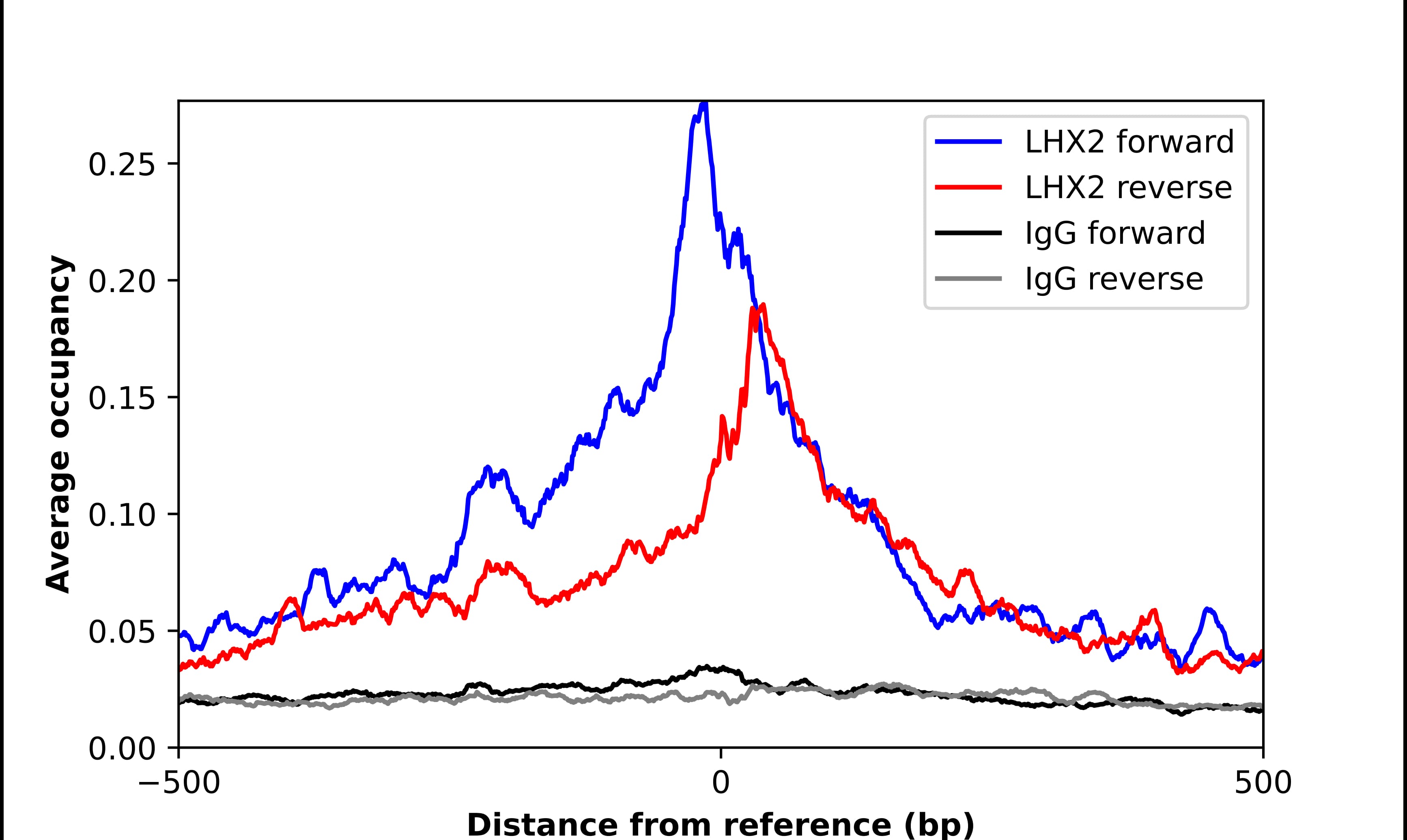 ChIP-Exo-Seq composite graph for Anti-LHX2 (NBP2-55153) tested in K562 cells. Strand-specific reads (blue: forward, red: reverse) and IgG controls (black: forward, grey: reverse) are plotted against the distance from a composite set of reference binding sites. The antibody exhibits robust target enrichment compared to a non-specific IgG control and precisely reveals its structural organization around the binding site. Data generated by Prof. B. F. Pugh´s Lab at Cornell University.