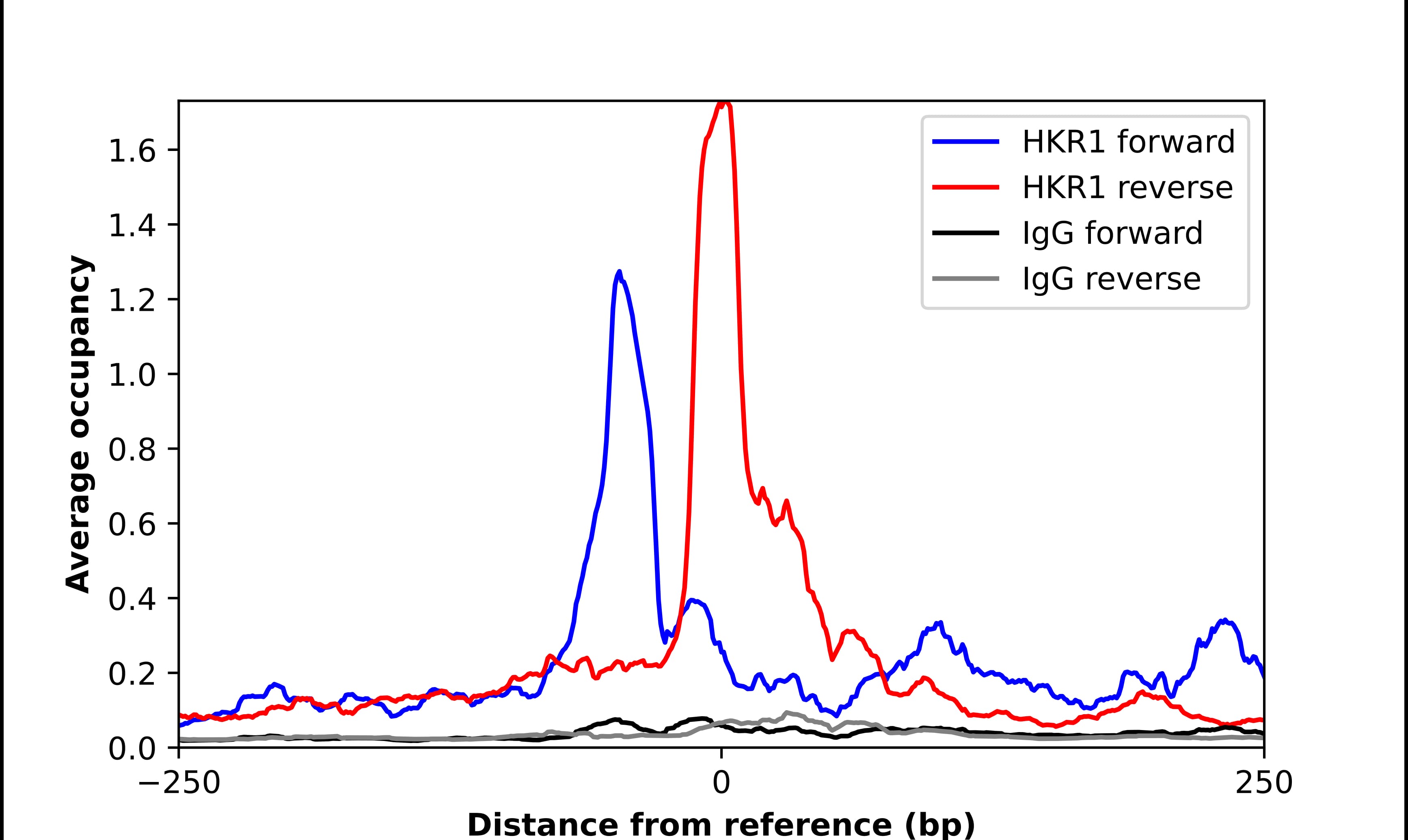 Chromatin Immunoprecipitation HKR1 Antibody - BSA Free