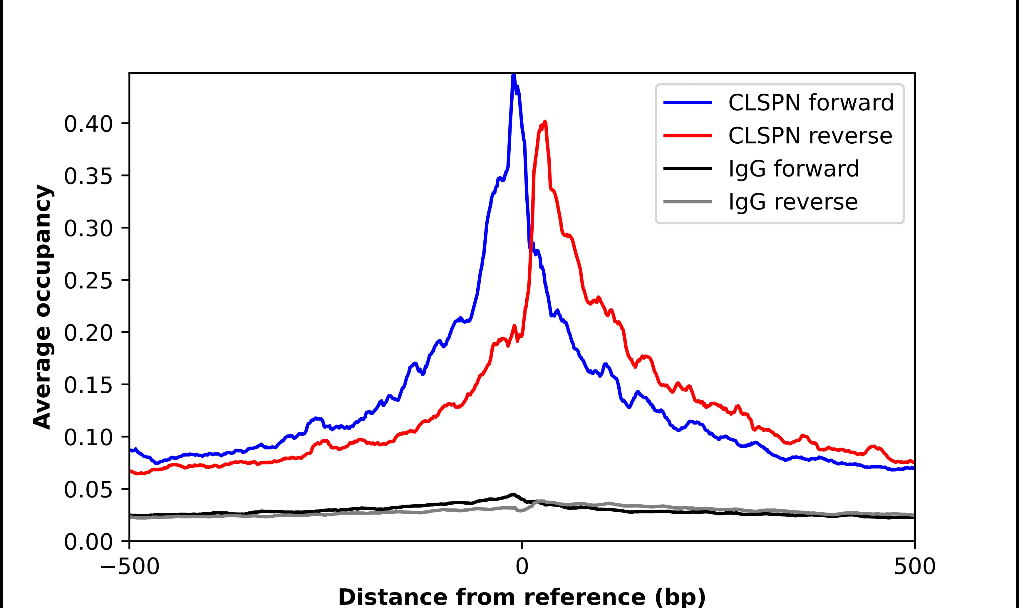 ChIP-Exo-Seq composite graph for Anti-Claspin tested in K562 cells. Strand-specific reads (blue: forward, red: reverse) and IgG controls (black: forward, grey: reverse) are plotted against the distance from a composite set of reference binding sites. The antibody exhibits robust target enrichment compared to a non-specific IgG control and precisely reveals its structural organization around the binding site. Data generated by Prof. B. F. Pugh's Lab at Cornell University.