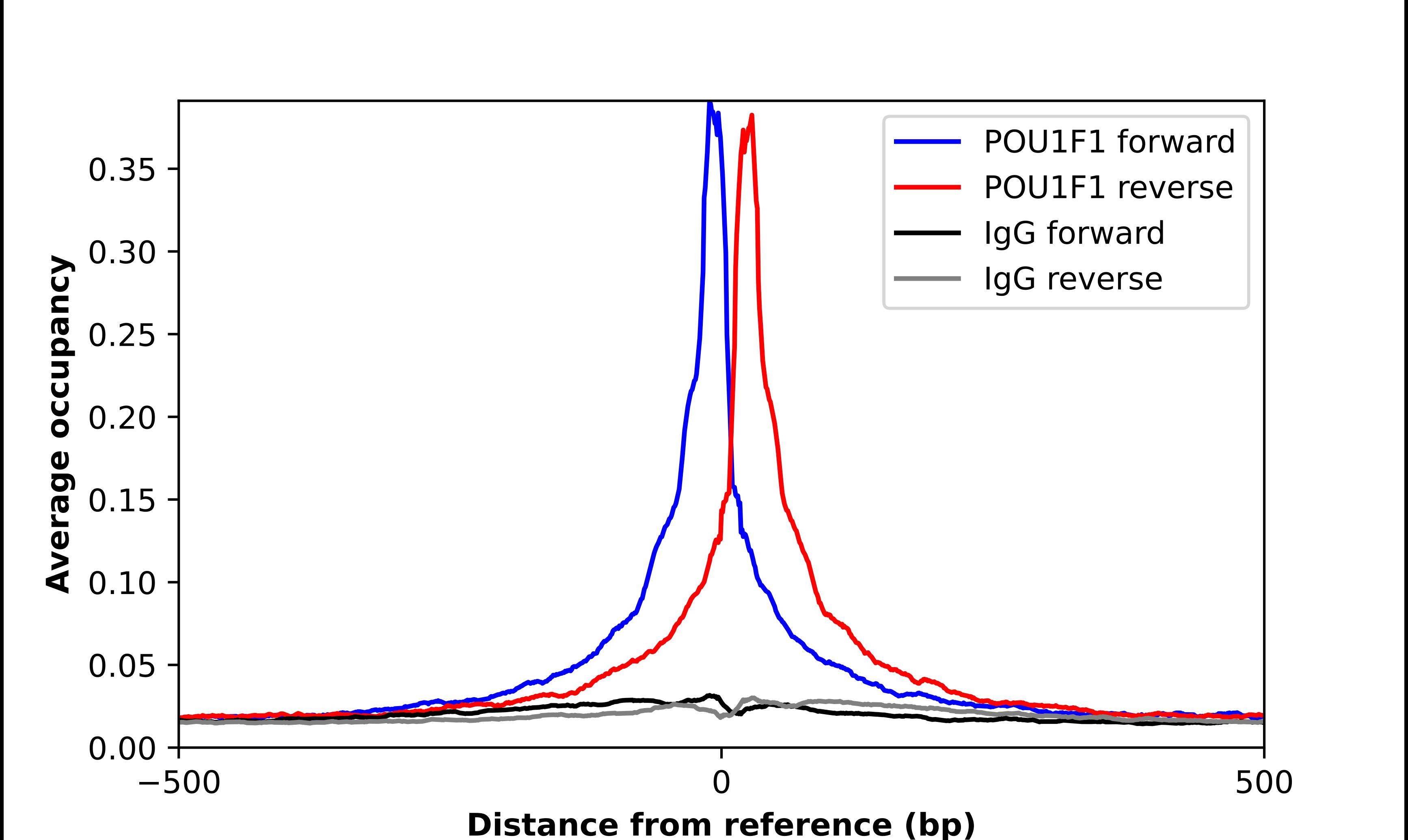ChIP-Exo-Seq composite graph for Anti-Pit1 tested in K562 cells. Strand-specific reads (blue: forward, red: reverse) and IgG controls (black: forward, grey: reverse) are plotted against the distance from a composite set of reference binding sites. The antibody exhibits robust target enrichment compared to a non-specific IgG control and precisely reveals its structural organization around the binding site. Data generated by Prof. B. F. Pugh's Lab at Cornell University.