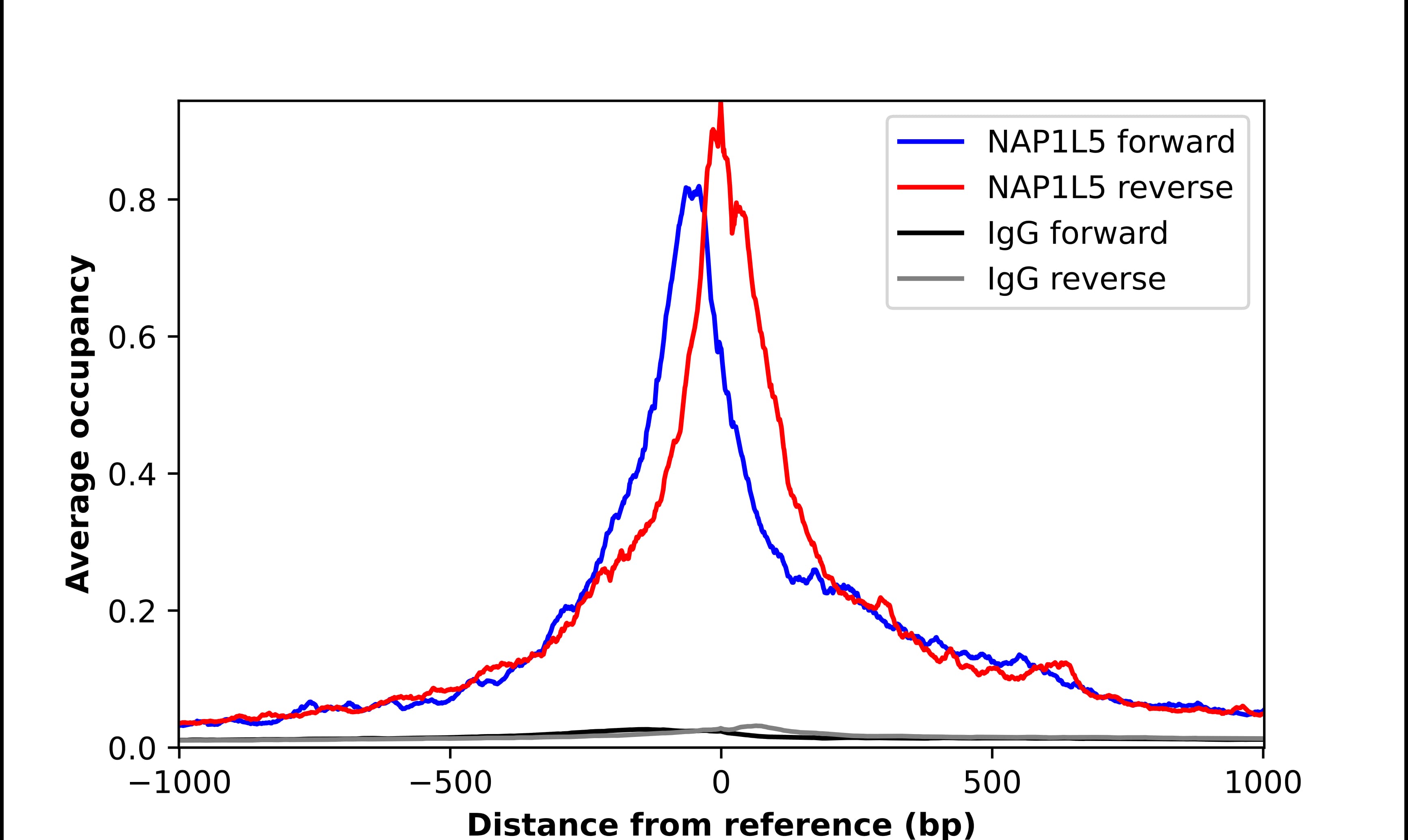 ChIP-Exo-Seq composite graph for Anti-NAP1L5 (NBP2-55379) tested in K562 cells. Strand-specific reads (blue: forward, red: reverse) and IgG controls (black: forward, grey: reverse) are plotted against the distance from a composite set of reference binding sites. The antibody exhibits robust target enrichment compared to a non-specific IgG control and precisely reveals its structural organization around the binding site. Data generated by Prof. B. F. Pugh´s Lab at Cornell University.