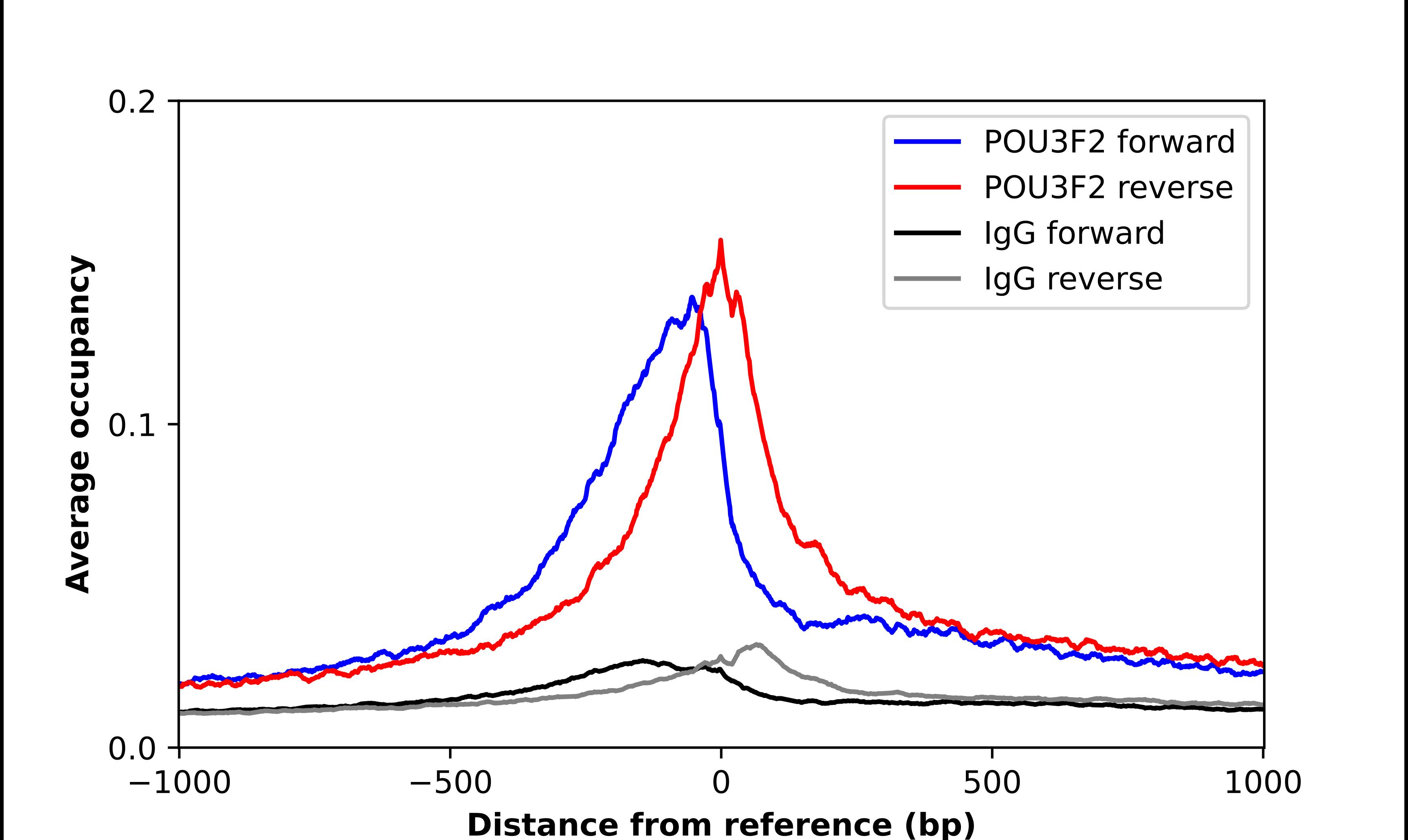 ChIP-Exo-Seq composite graph for Anti-POU3F2 (NBP2-55453) tested in K562 cells. Strand-specific reads (blue: forward, red: reverse) and IgG controls (black: forward, grey: reverse) are plotted against the distance from a composite set of reference binding sites. The antibody exhibits robust target enrichment compared to a non-specific IgG control and precisely reveals its structural organization around the binding site. Data generated by Prof. B. F. Pugh´s Lab at Cornell University.