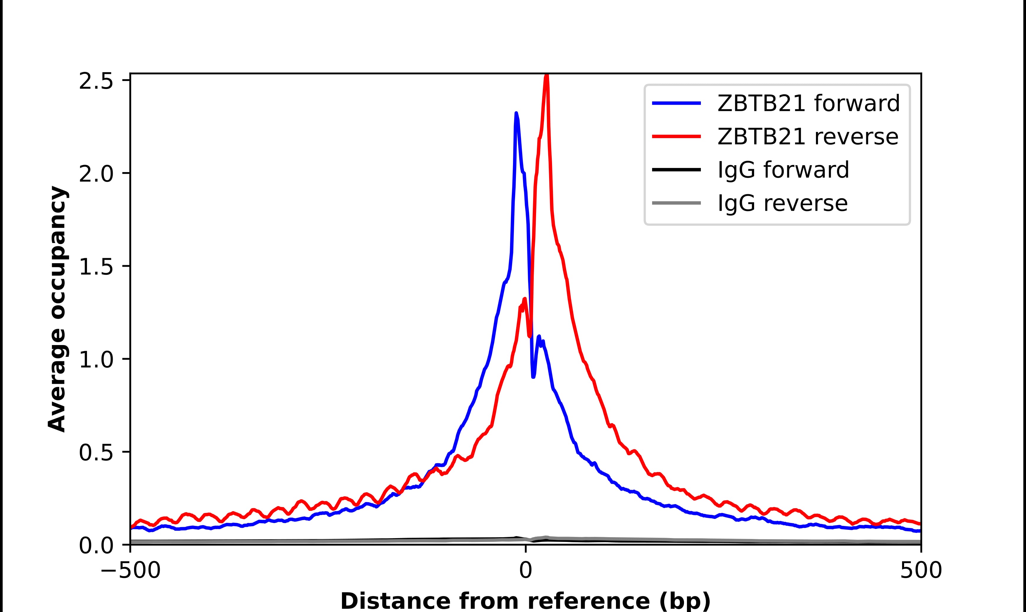 ChIP-Exo-Seq composite graph for Anti-ZBTB21 (NBP2-55456) tested in K562 cells. Strand-specific reads (blue: forward, red: reverse) and IgG controls (black: forward, grey: reverse) are plotted against the distance from a composite set of reference binding sites. The antibody exhibits robust target enrichment compared to a non-specific IgG control and precisely reveals its structural organization around the binding site. Data generated by Prof. B. F. Pugh´s Lab at Cornell University.