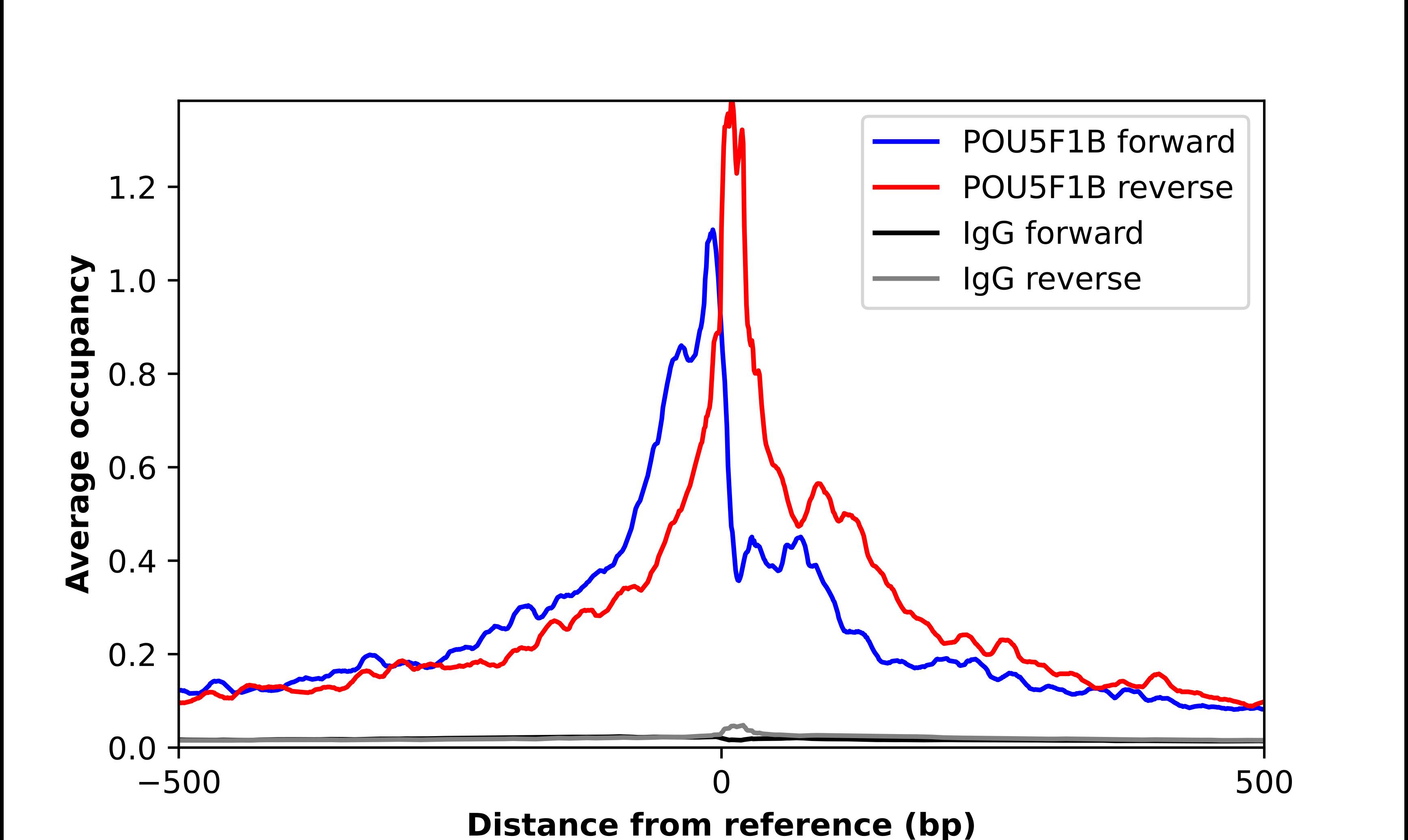 ChIP-Exo-Seq composite graph for Anti-POU5F1P1 tested in K562 cells. Strand-specific reads (blue: forward, red: reverse) and IgG controls (black: forward, grey: reverse) are plotted against the distance from a composite set of reference binding sites. The antibody exhibits robust target enrichment compared to a non-specific IgG control and precisely reveals its structural organization around the binding site. Data generated by Prof. B. F. Pugh's Lab at Cornell University.