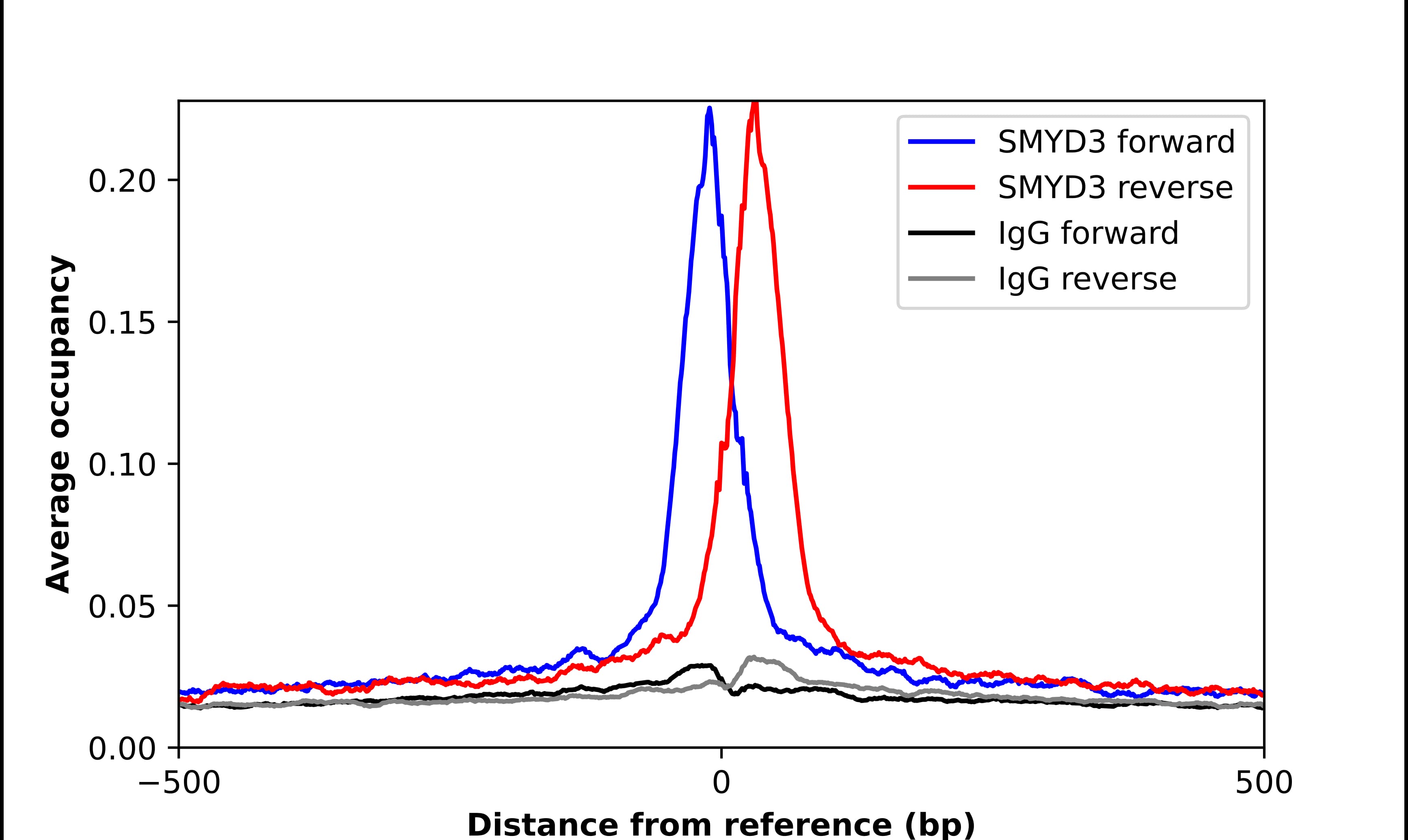 ChIP-Exo-Seq composite graph for Anti-SMYD3 (NBP2-55477) tested in K562 cells. Strand-specific reads (blue: forward, red: reverse) and IgG controls (black: forward, grey: reverse) are plotted against the distance from a composite set of reference binding sites. The antibody exhibits robust target enrichment compared to a non-specific IgG control and precisely reveals its structural organization around the binding site. Data generated by Prof. B. F. Pugh´s Lab at Cornell University.