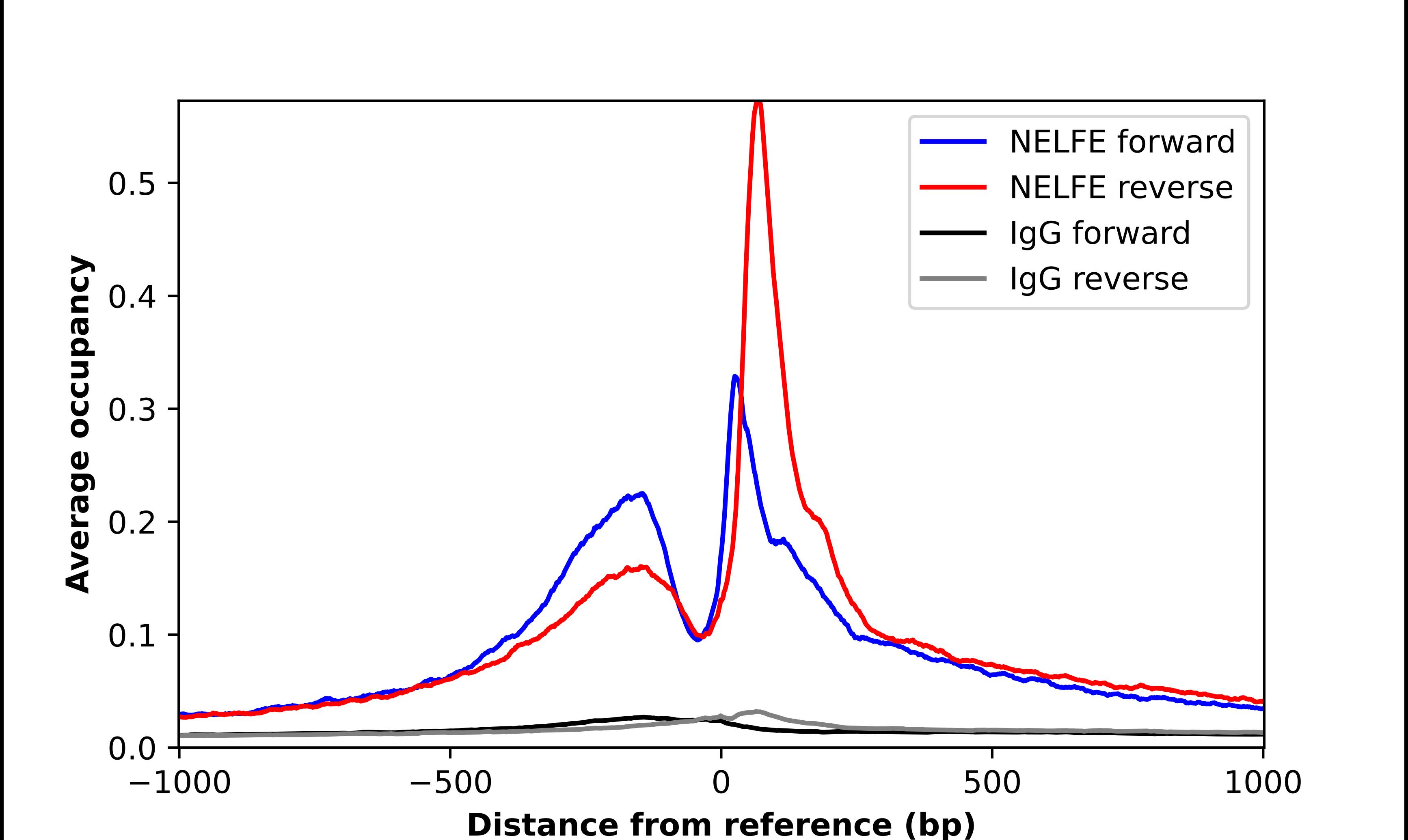 Chromatin Immunoprecipitation NELF-E Antibody - BSA Free