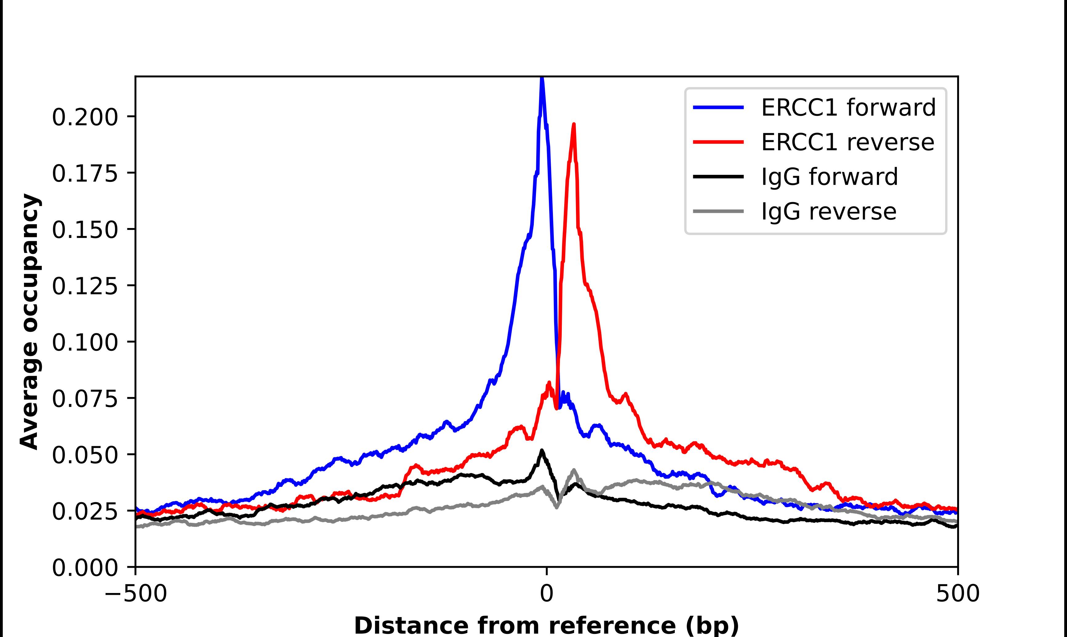 ChIP-Exo-Seq composite graph for Anti-ERCC1 tested in K562 cells. Strand-specific reads (blue: forward, red: reverse) and IgG controls (black: forward, grey: reverse) are plotted against the distance from a composite set of reference binding sites. The antibody exhibits robust target enrichment compared to a non-specific IgG control and precisely reveals its structural organization around the binding site. Data generated by Prof. B. F. Pugh's Lab at Cornell University.