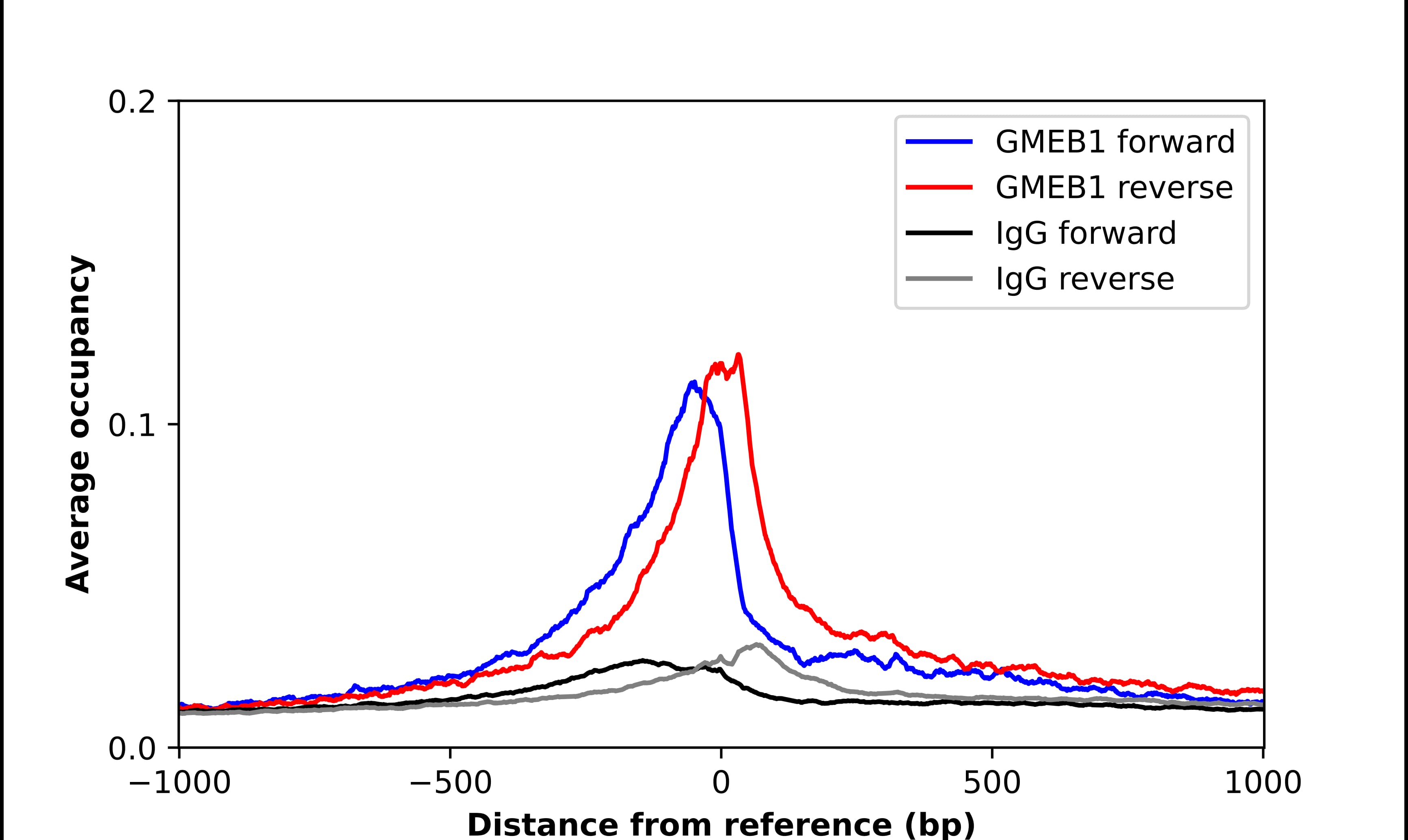 ChIP-Exo-Seq composite graph for Anti-GMEB1 (NBP2-55657) tested in K562 cells. Strand-specific reads (blue: forward, red: reverse) and IgG controls (black: forward, grey: reverse) are plotted against the distance from a composite set of reference binding sites. The antibody exhibits robust target enrichment compared to a non-specific IgG control and precisely reveals its structural organization around the binding site. Data generated by Prof. B. F. Pugh´s Lab at Cornell University.