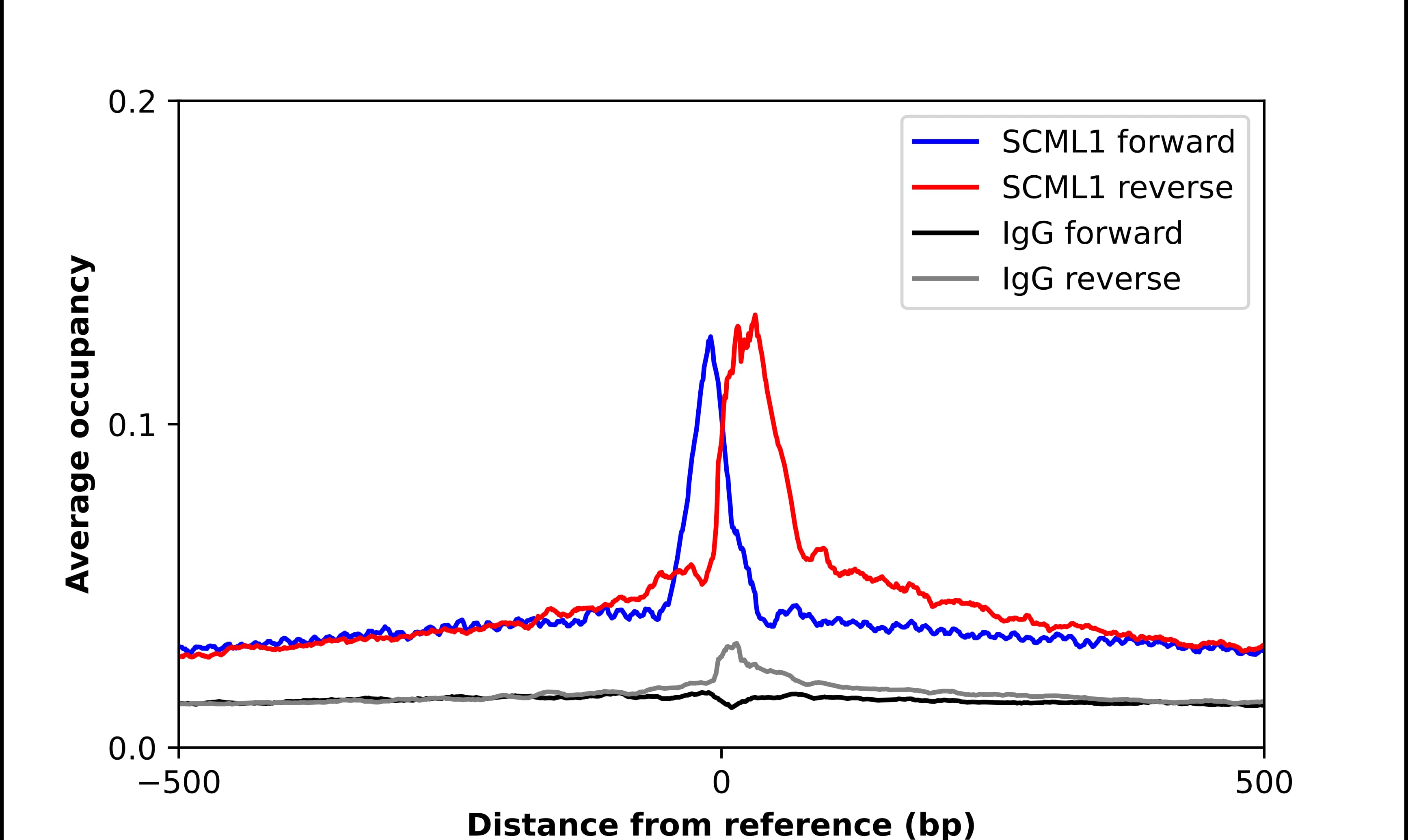 ChIP-Exo-Seq composite graph for Anti-SCML1 (NBP2-55711) tested in K562 cells. Strand-specific reads (blue: forward, red: reverse) and IgG controls (black: forward, grey: reverse) are plotted against the distance from a composite set of reference binding sites. The antibody exhibits robust target enrichment compared to a non-specific IgG control and precisely reveals its structural organization around the binding site. Data generated by Prof. B. F. Pugh´s Lab at Cornell University.