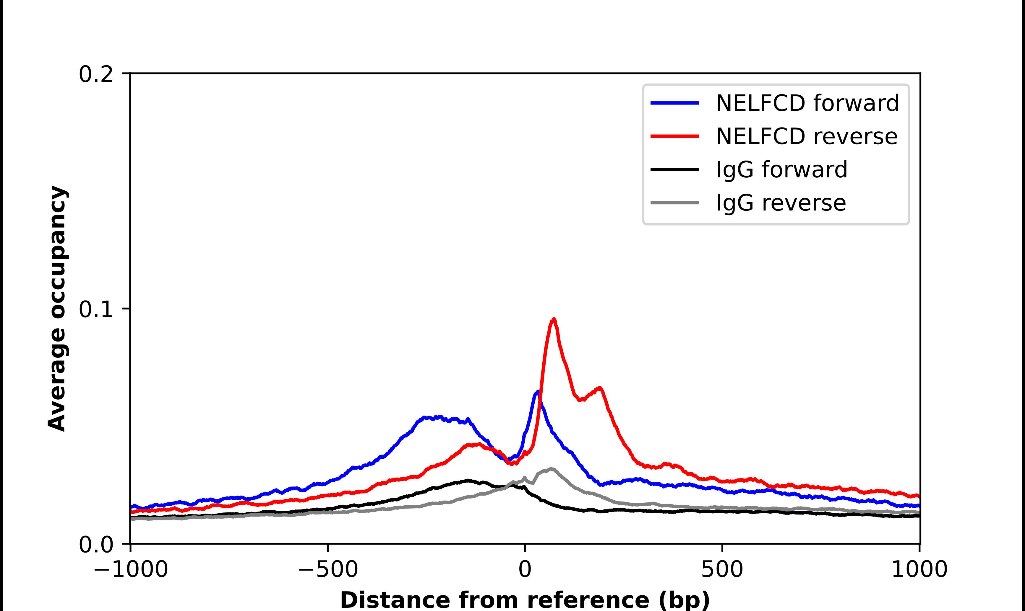 ChIP-Exo-Seq composite graph for Anti-TH1L tested in K562 cells. Strand-specific reads (blue: forward, red: reverse) and IgG controls (black: forward, grey: reverse) are plotted against the distance from a composite set of reference binding sites. The antibody exhibits robust target enrichment compared to a non-specific IgG control and precisely reveals its structural organization around the binding site. Data generated by Prof. B. F. Pugh's Lab at Cornell University.