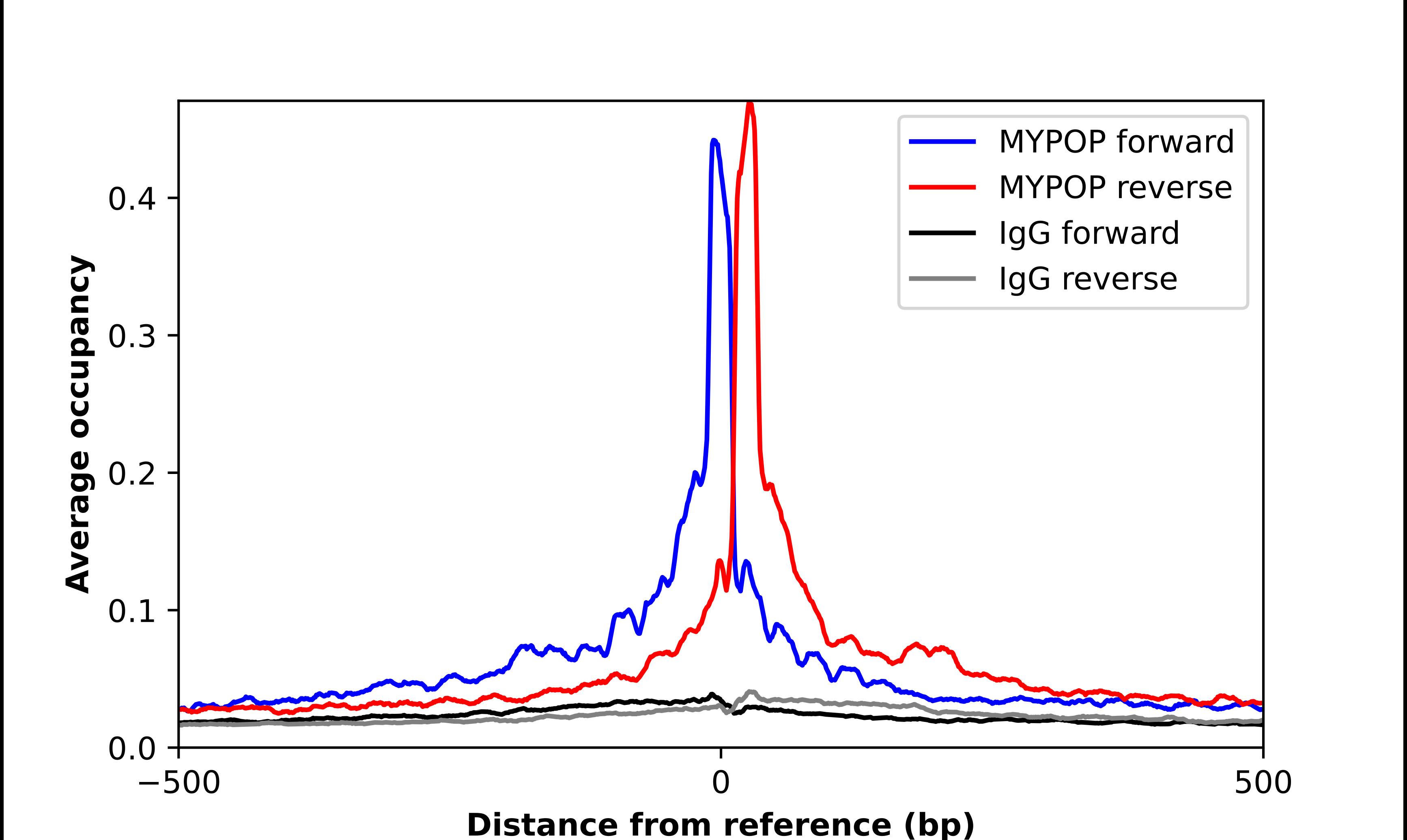 ChIP-Exo-Seq composite graph for Anti-MYPOP tested in K562 cells. Strand-specific reads (blue: forward, red: reverse) and IgG controls (black: forward, grey: reverse) are plotted against the distance from a composite set of reference binding sites. The antibody exhibits robust target enrichment compared to a non-specific IgG control and precisely reveals its structural organization around the binding site. Data generated by Prof. B. F. Pugh's Lab at Cornell University.
