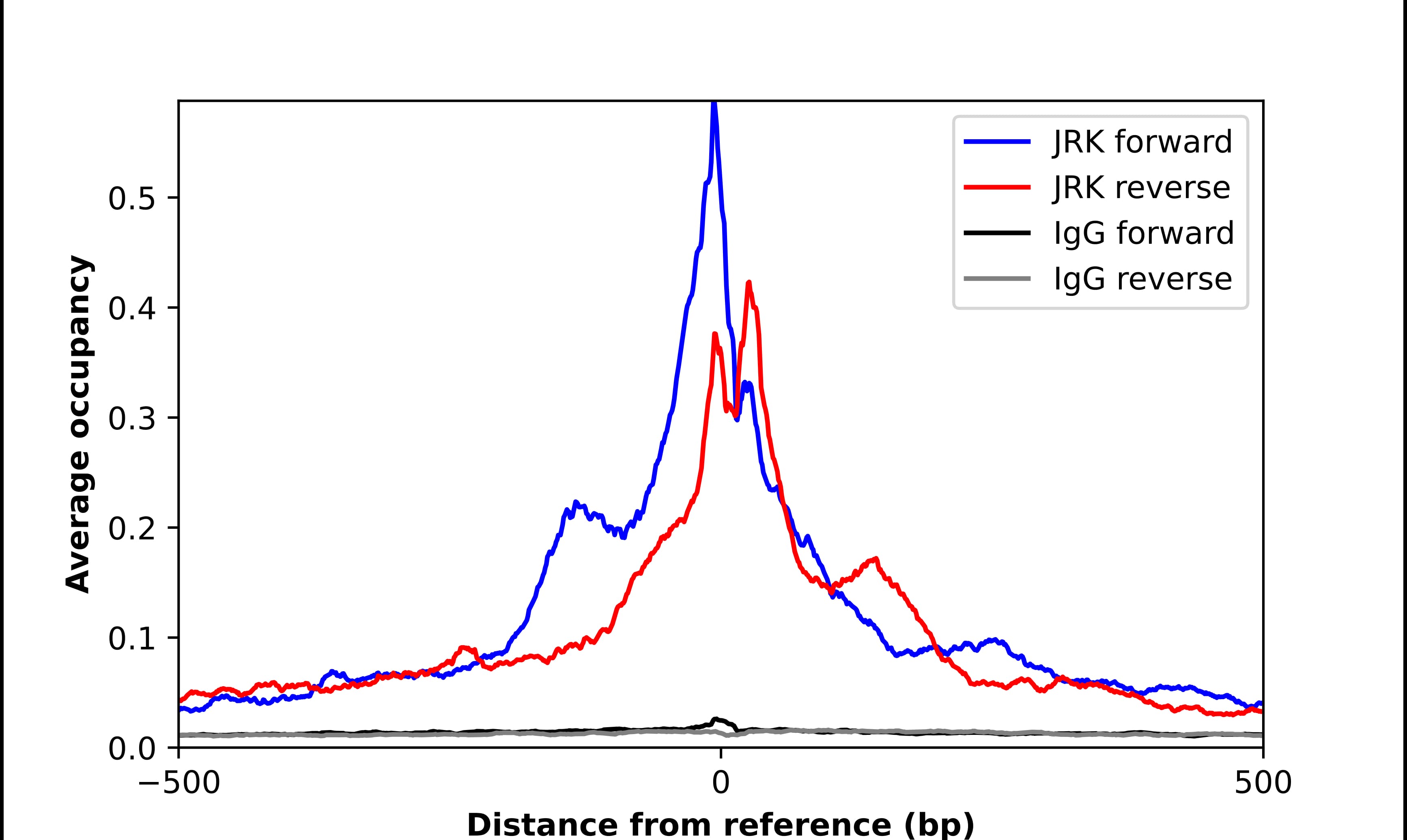 Chromatin Immunoprecipitation JRK Antibody - BSA Free