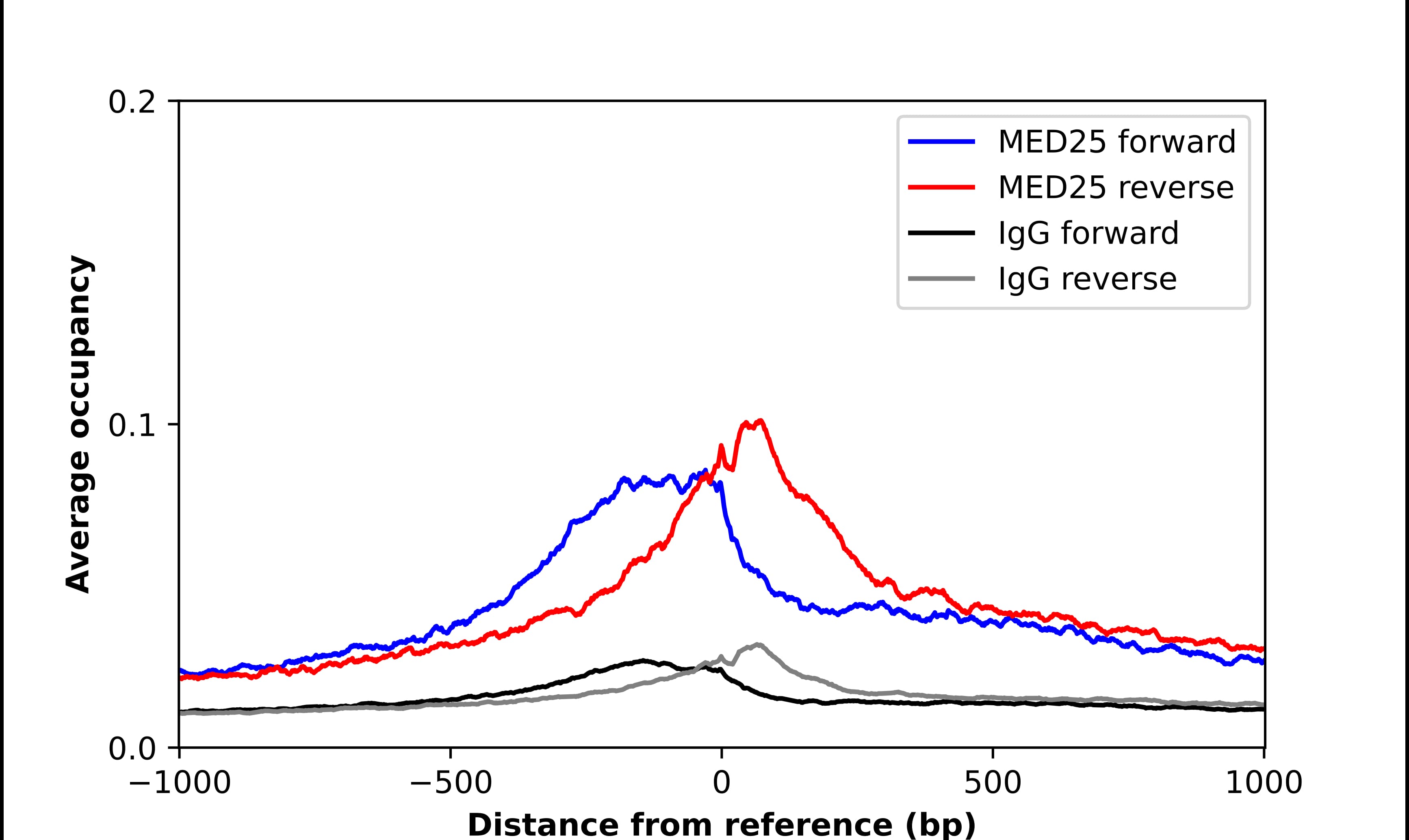 ChIP-Exo-Seq composite graph for Anti-MED25 (NBP2-55868) tested in K562 cells. Strand-specific reads (blue: forward, red: reverse) and IgG controls (black: forward, grey: reverse) are plotted against the distance from a composite set of reference binding sites. The antibody exhibits robust target enrichment compared to a non-specific IgG control and precisely reveals its structural organization around the binding site. Data generated by Prof. B. F. Pugh´s Lab at Cornell University.