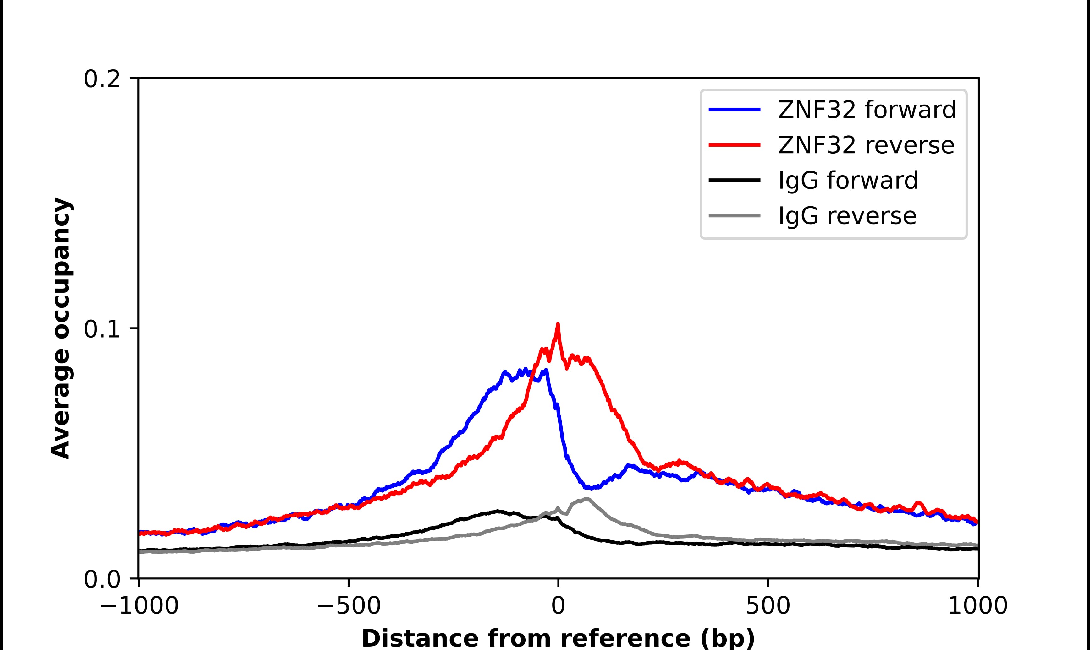 Chromatin Immunoprecipitation ZNF32 Antibody - BSA Free