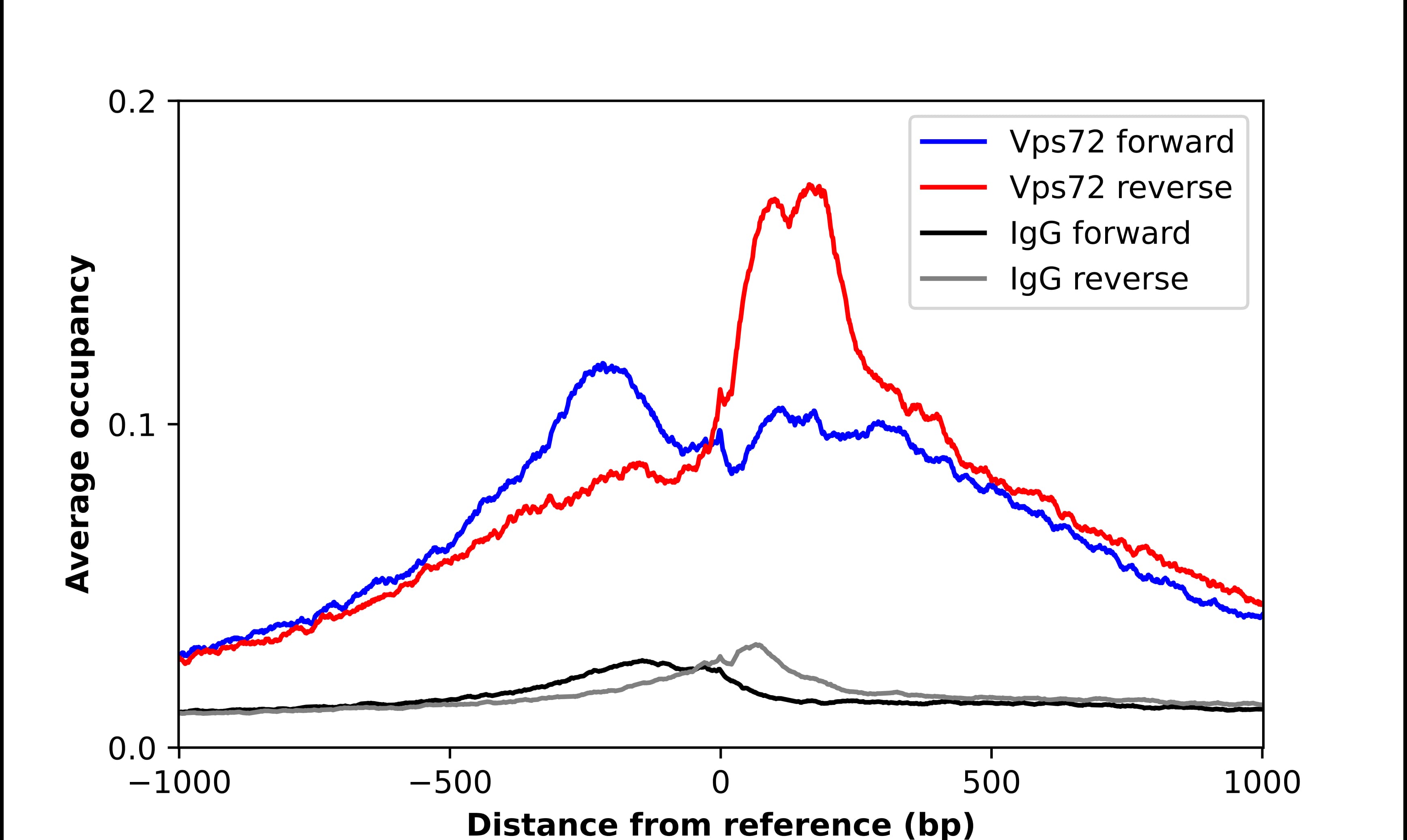 Chromatin Immunoprecipitation YL1 Antibody - BSA Free